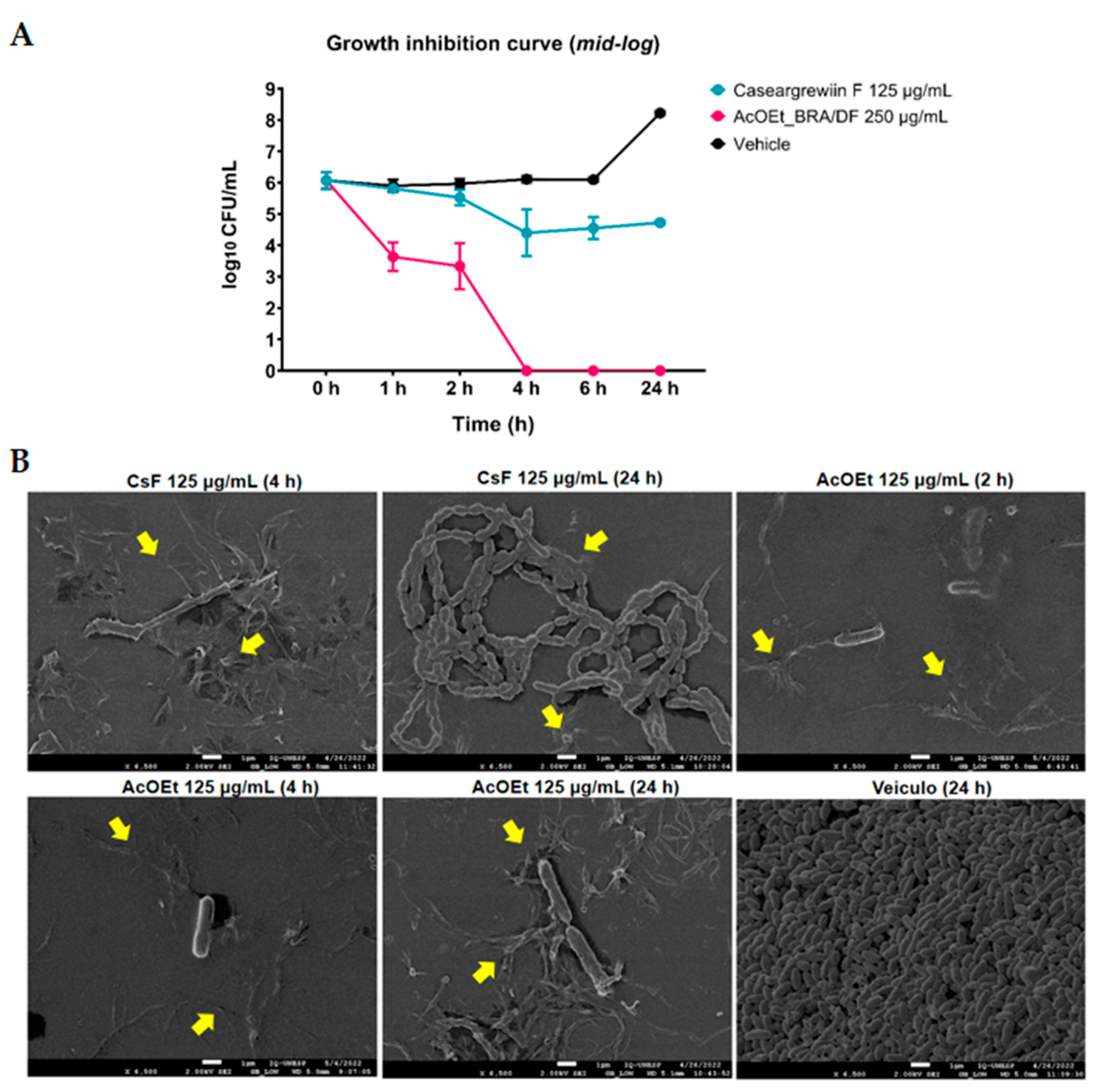 Antibiotics 12 00329 g008