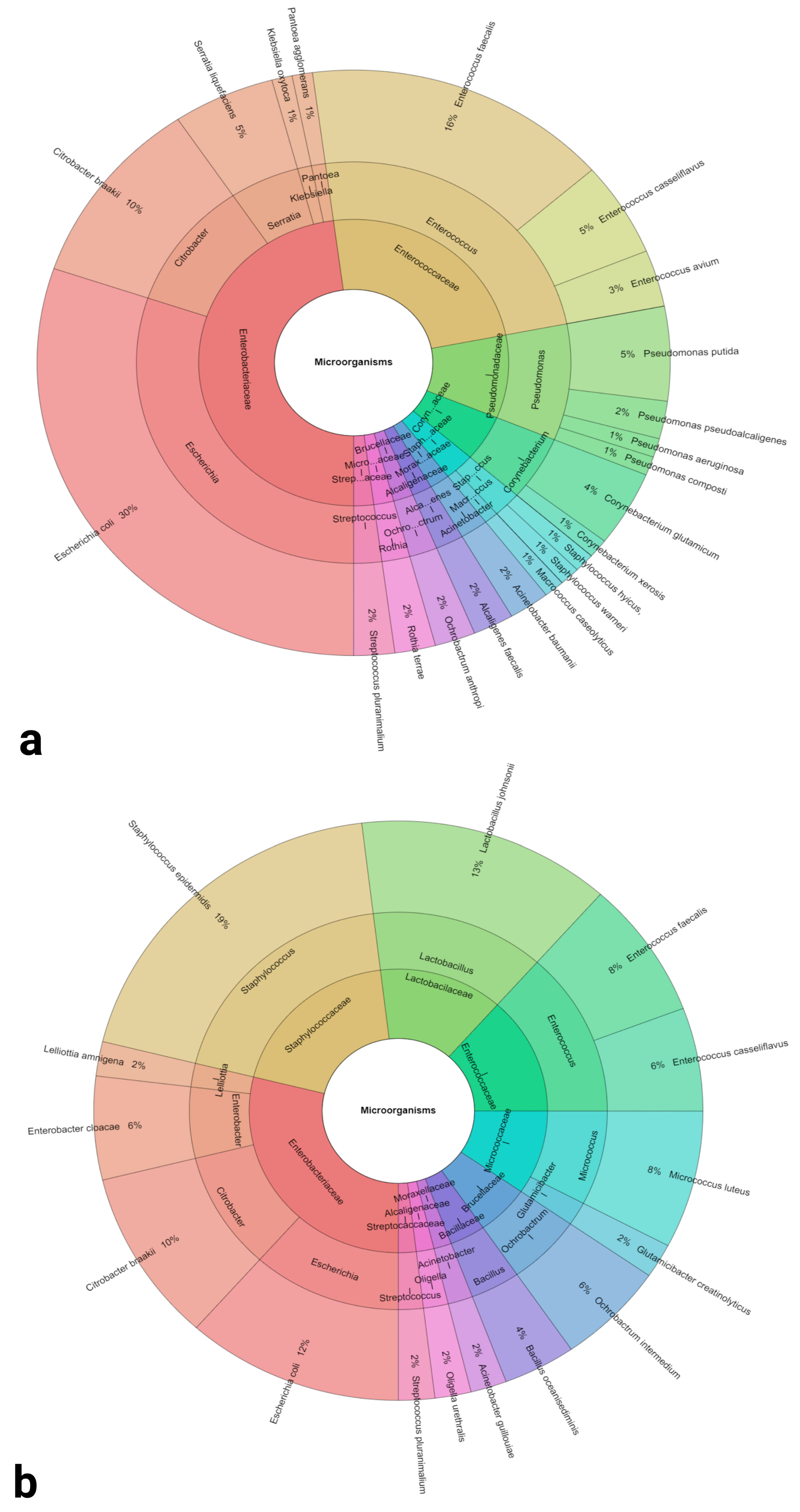 Antibiotics 12 00336 g001
