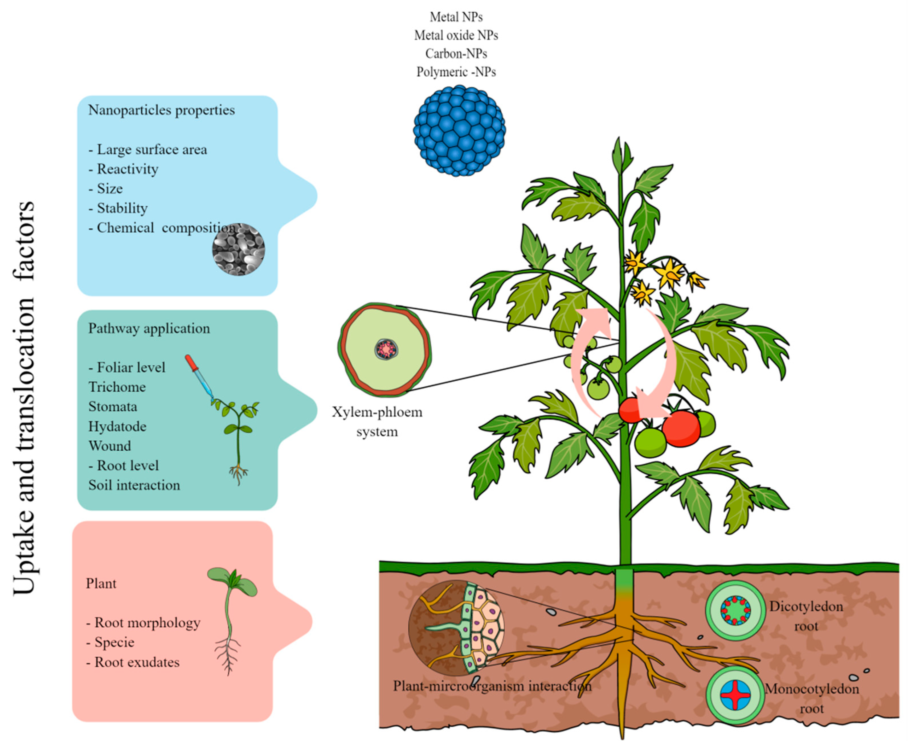 Antibiotics 12 00338 g001 Antibiotics 12 00338 g001
