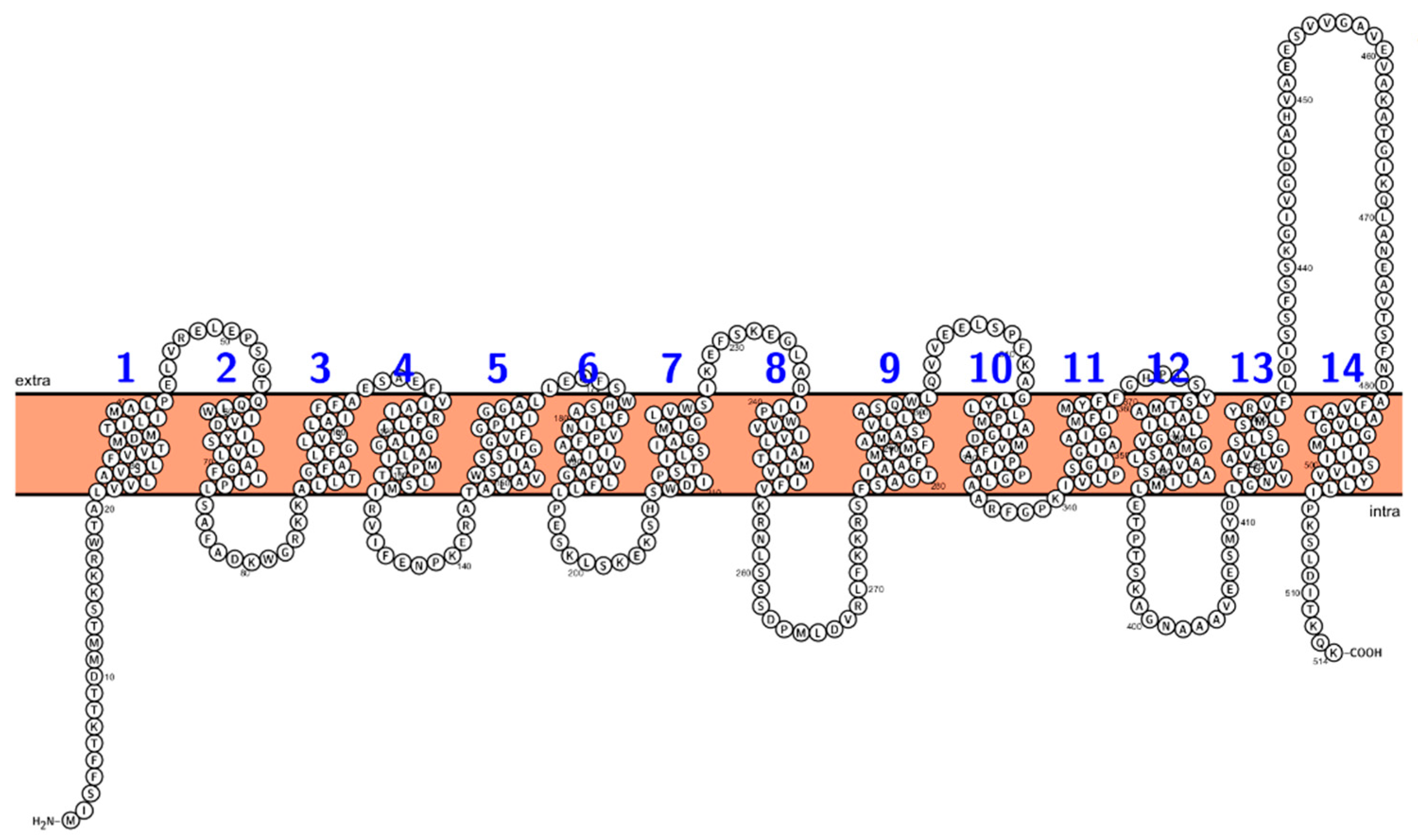 Antibiotics 12 00343 g001 Antibiotics 12 00343 g001