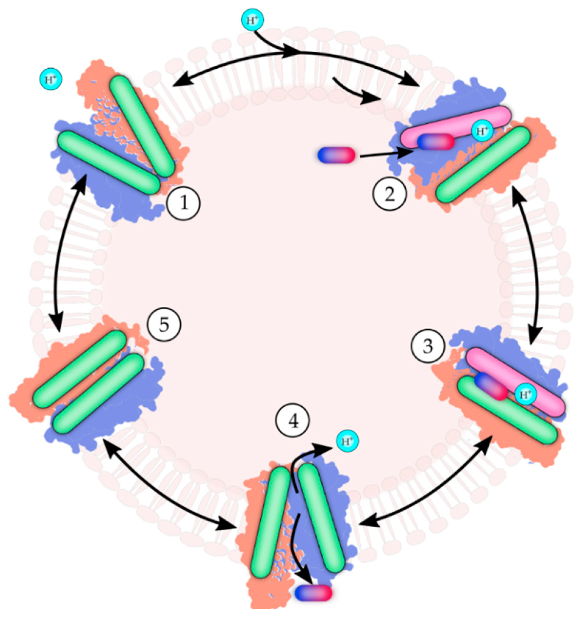 Antibiotics 12 00343 g002 Antibiotics 12 00343 g002