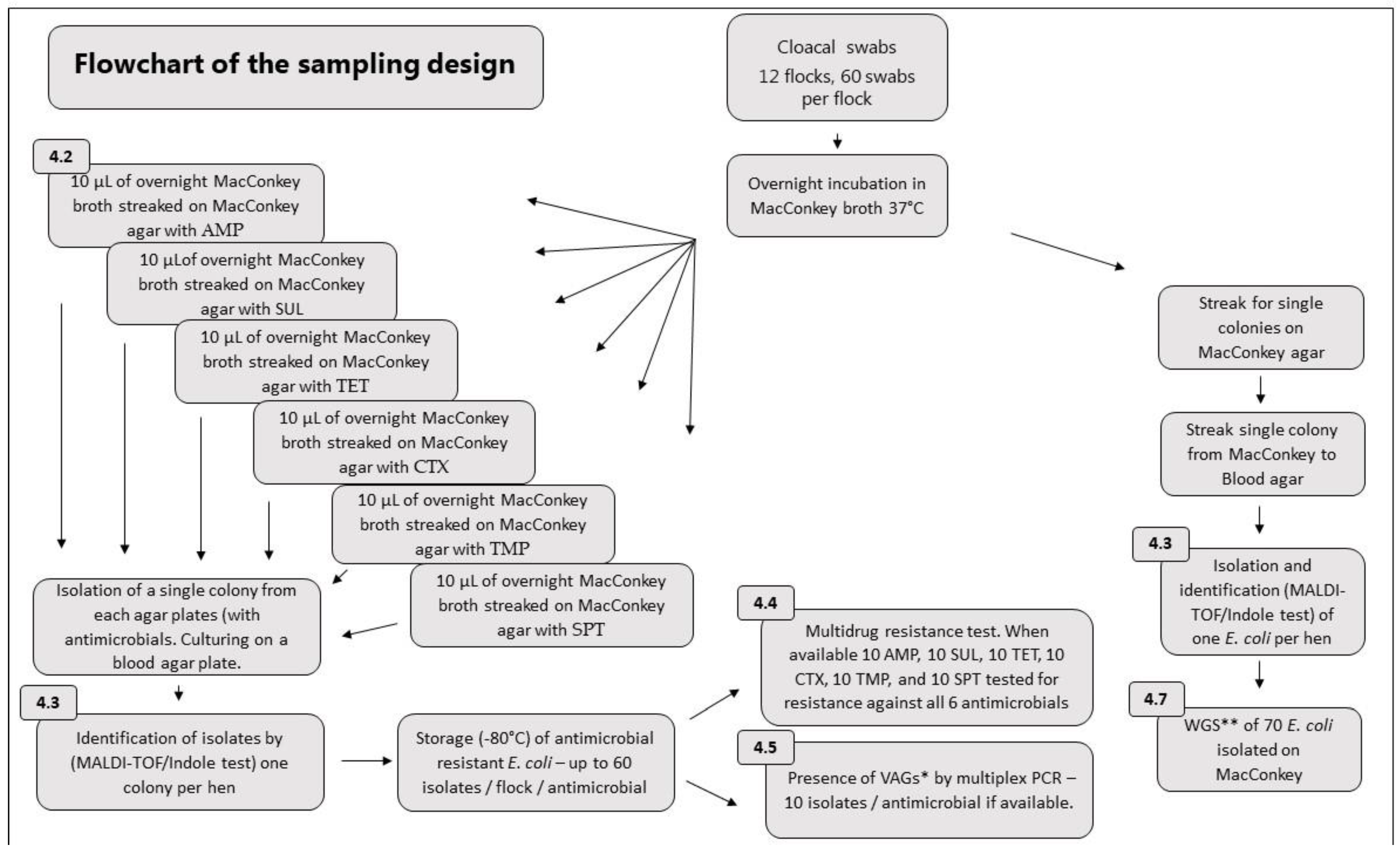 Antibiotics 12 00344 g009 Antibiotics 12 00344 g009