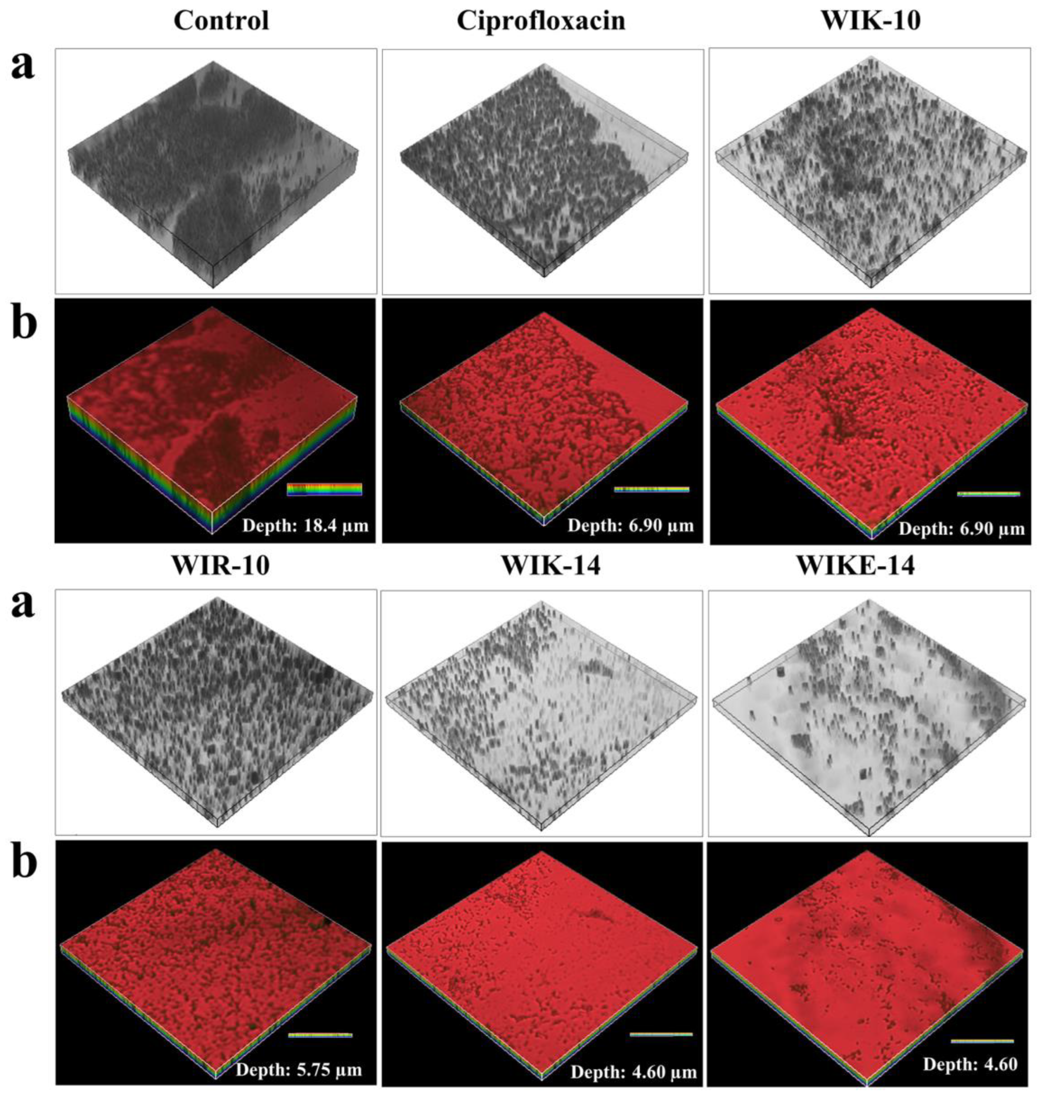 Antibiotics 12 00349 g005 Antibiotics 12 00349 g005