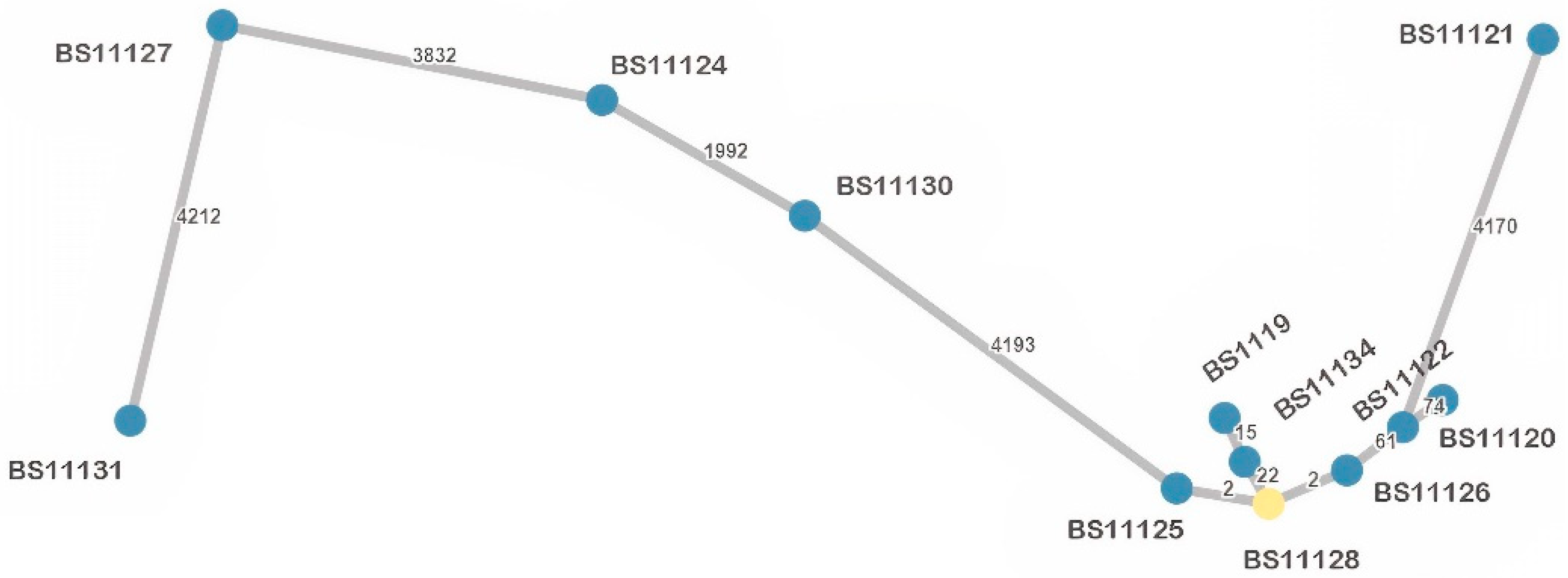 Antibiotics 12 00350 g003