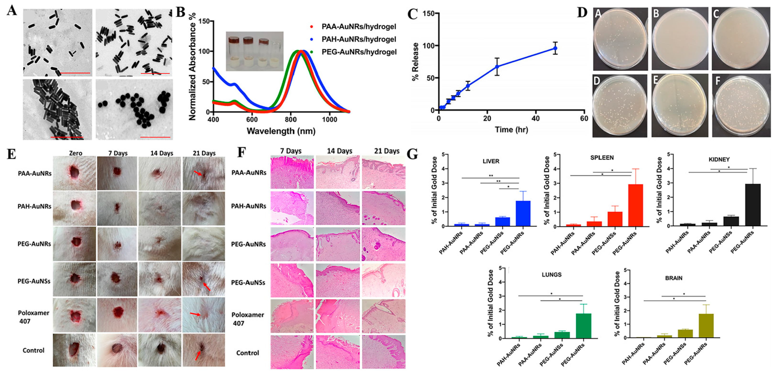 Antibiotics 12 00351 g003 Antibiotics 12 00351 g003
