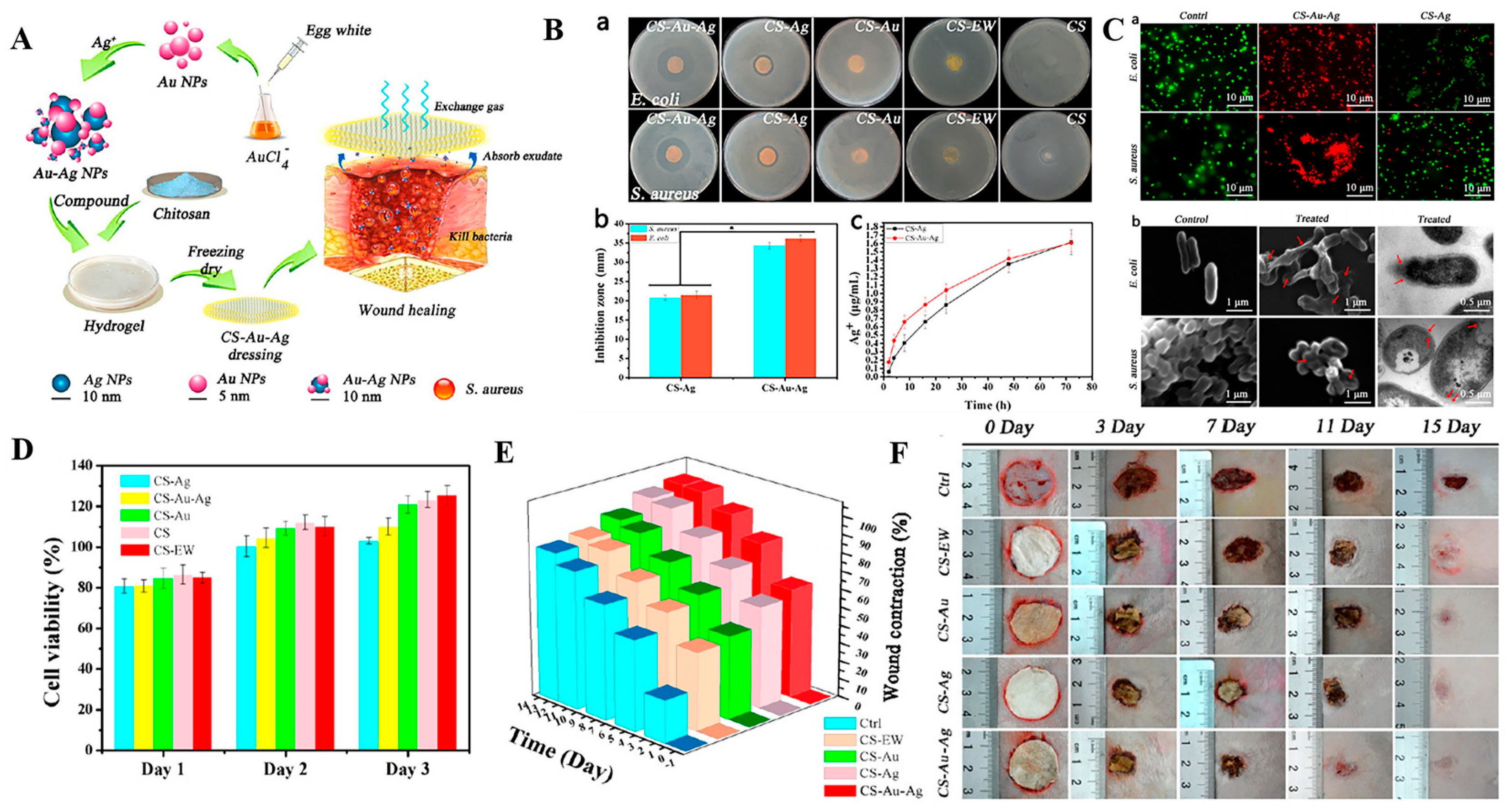 Antibiotics 12 00351 g004 Antibiotics 12 00351 g004
