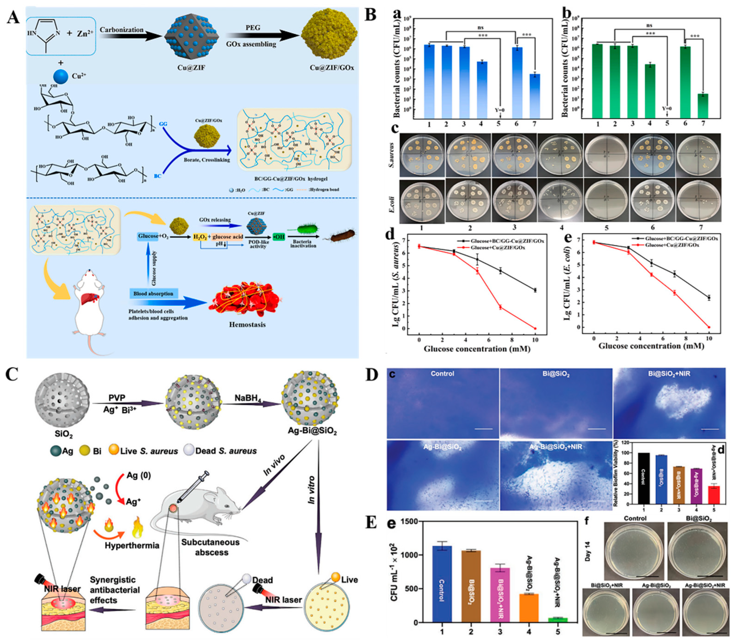 Antibiotics 12 00351 g005 Antibiotics 12 00351 g005