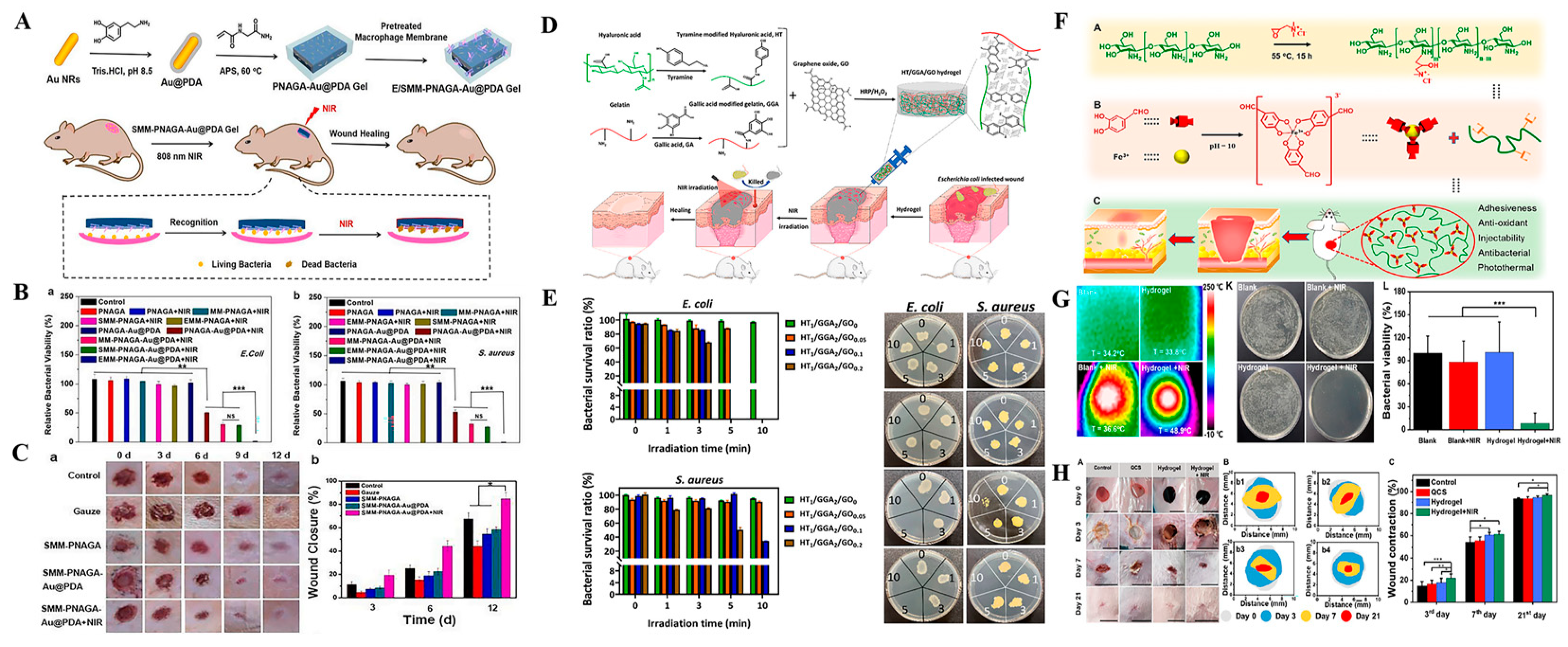 Antibiotics 12 00351 g007 Antibiotics 12 00351 g007