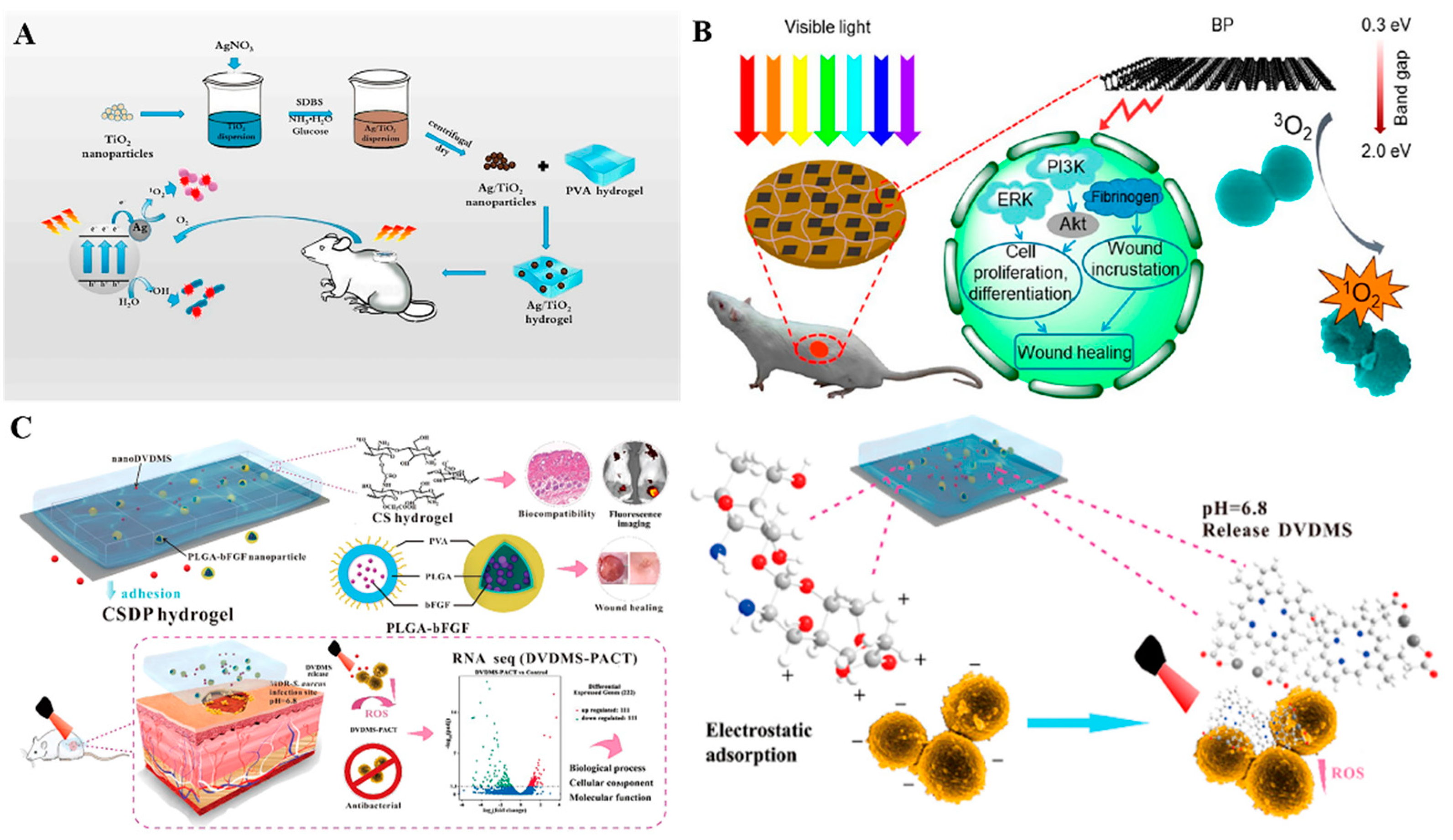 Antibiotics 12 00351 g008 Antibiotics 12 00351 g008