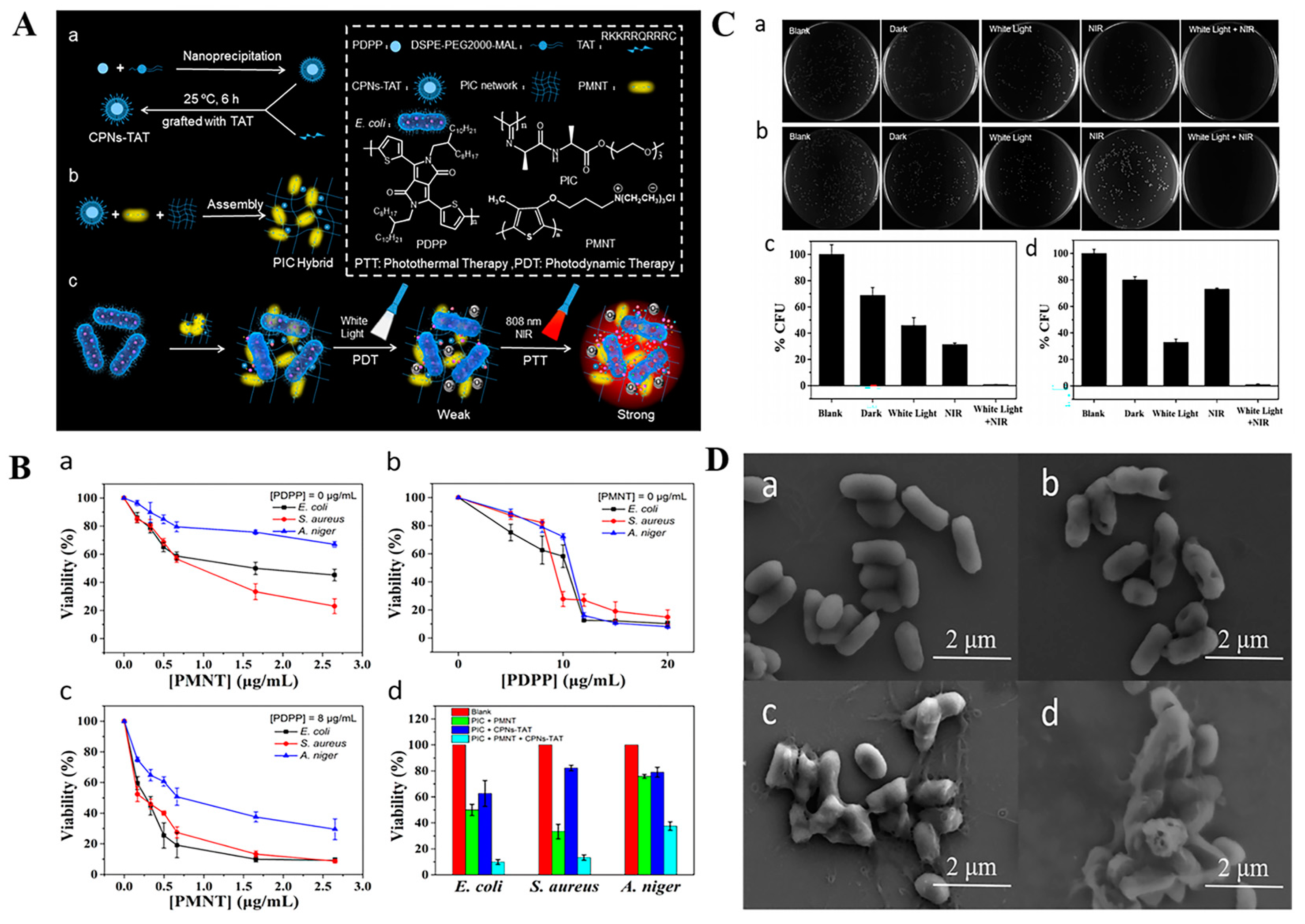 Antibiotics 12 00351 g010 Antibiotics 12 00351 g010