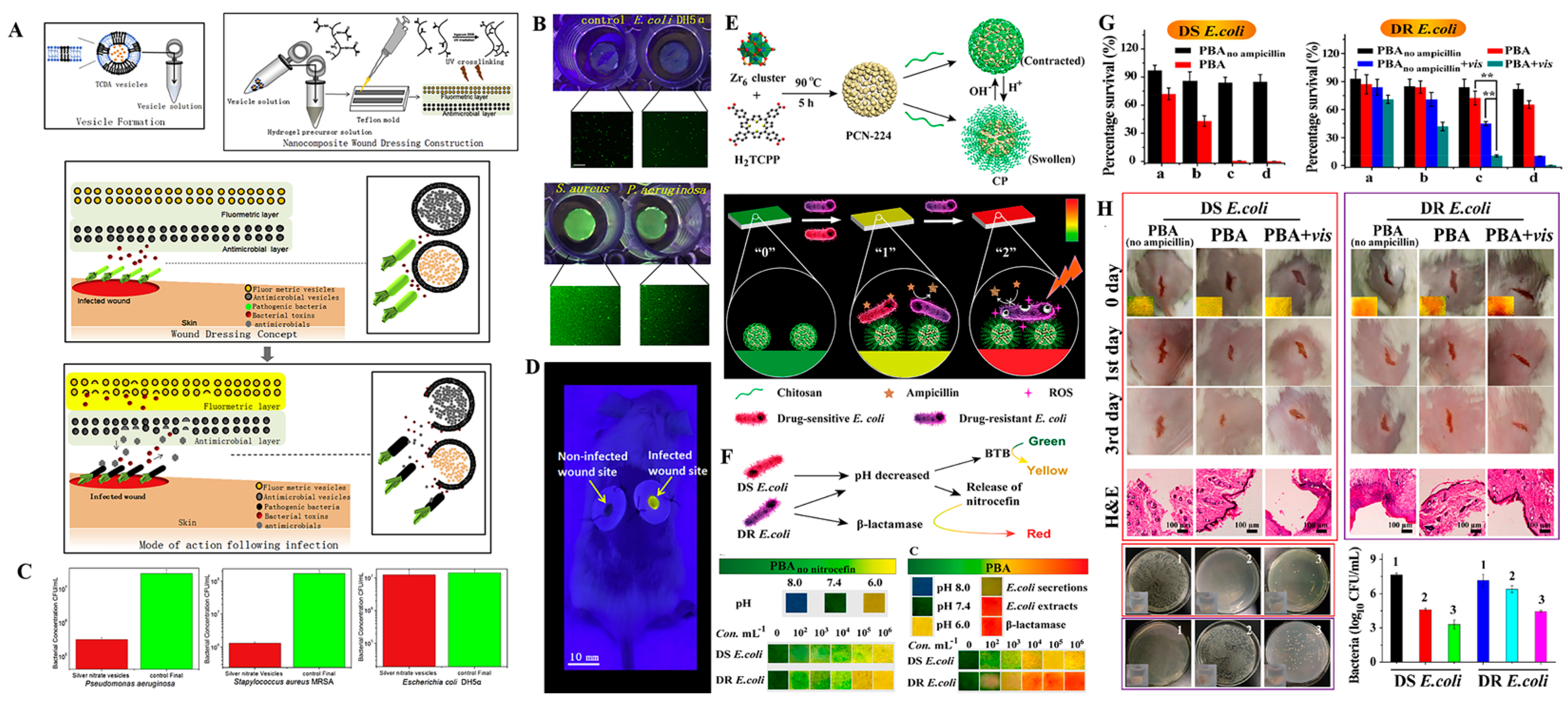 Antibiotics 12 00351 g011 Antibiotics 12 00351 g011