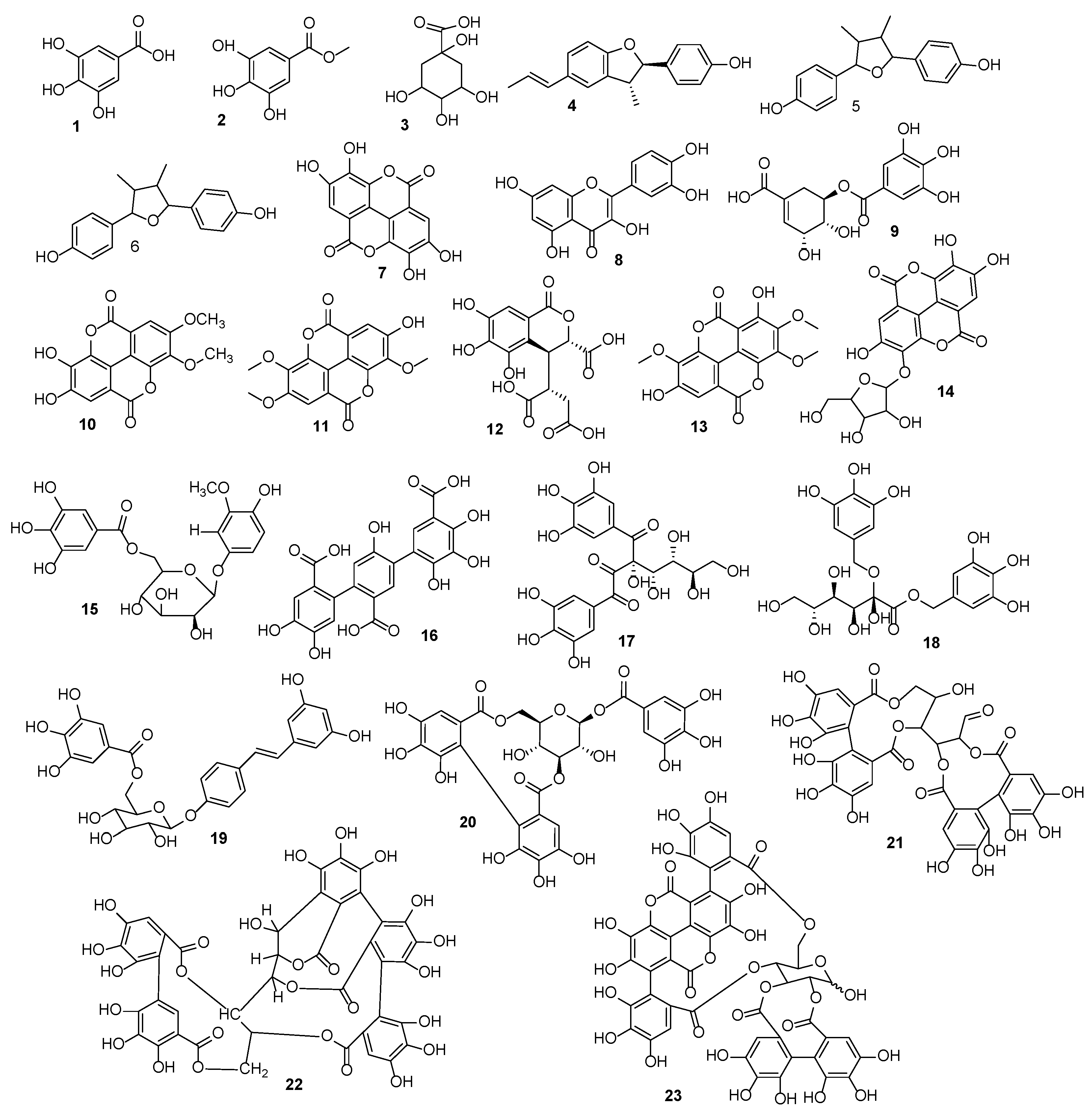 Antibiotics 12 00354 g001 Antibiotics 12 00354 g001