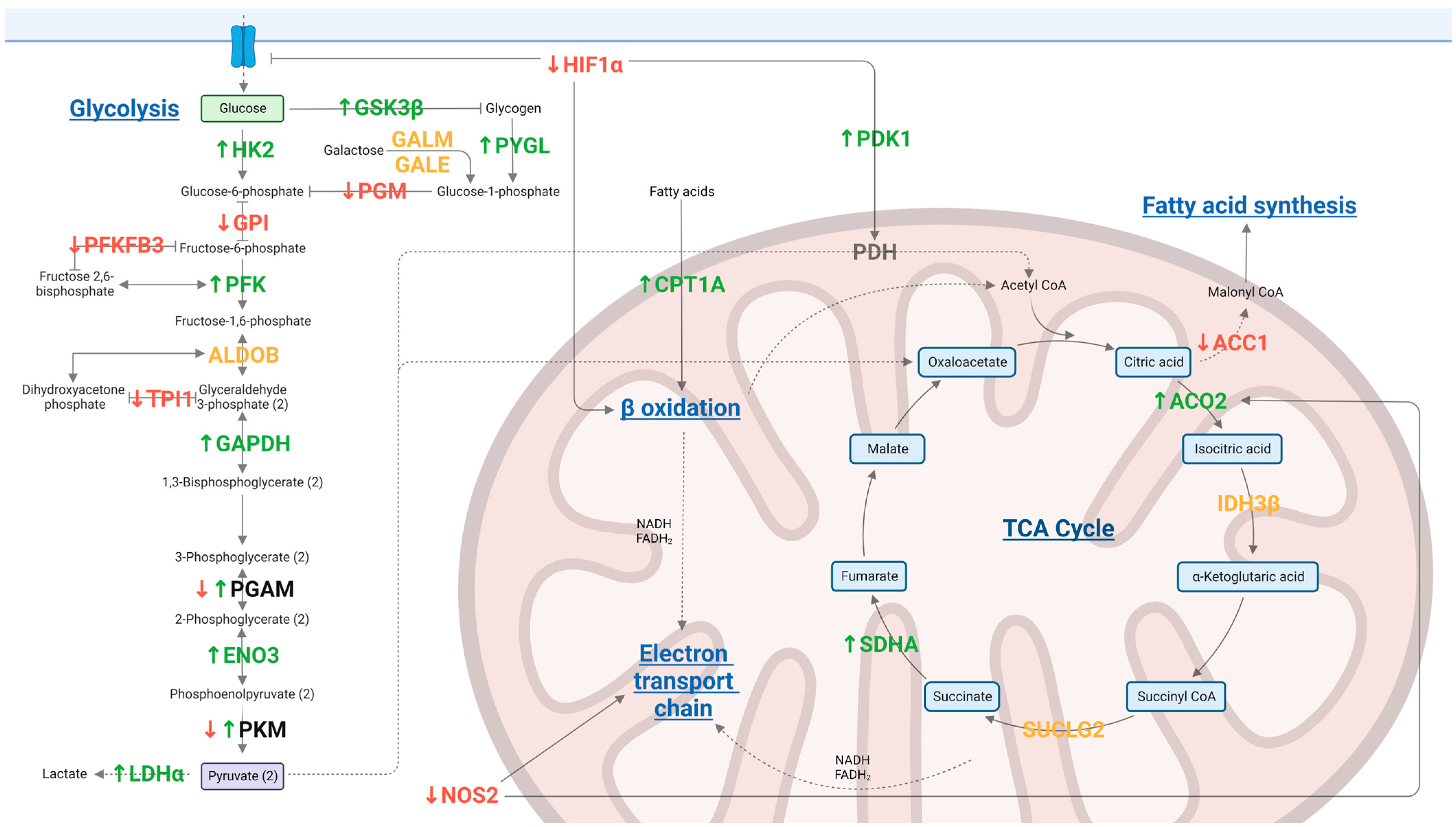 Antibiotics 12 00357 g001
