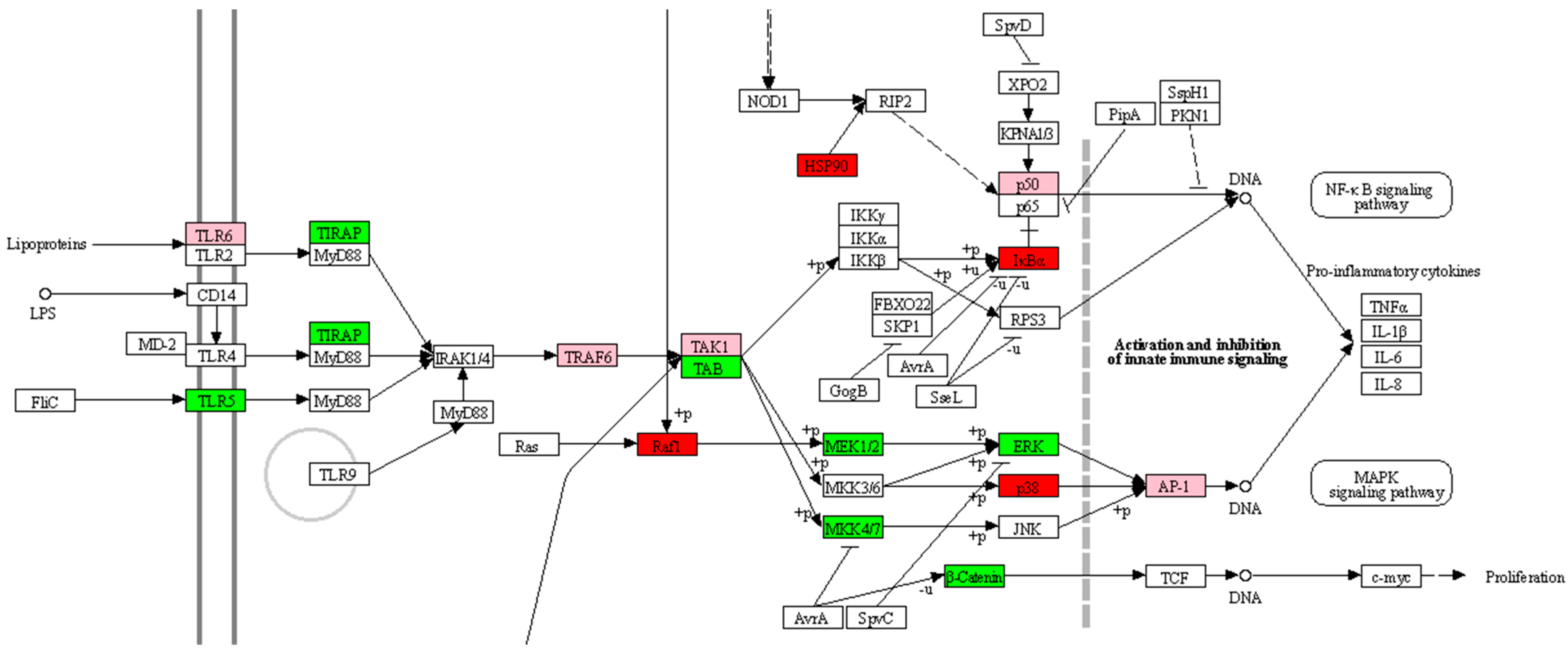Antibiotics 12 00357 g002