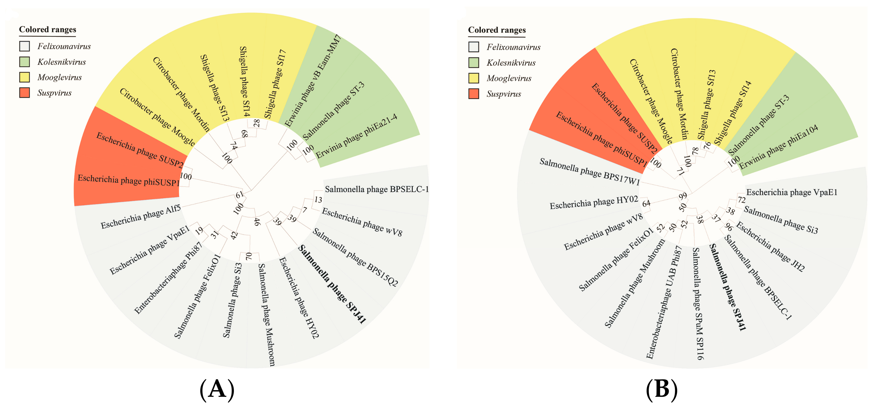 Antibiotics 12 00364 g003 Antibiotics 12 00364 g003