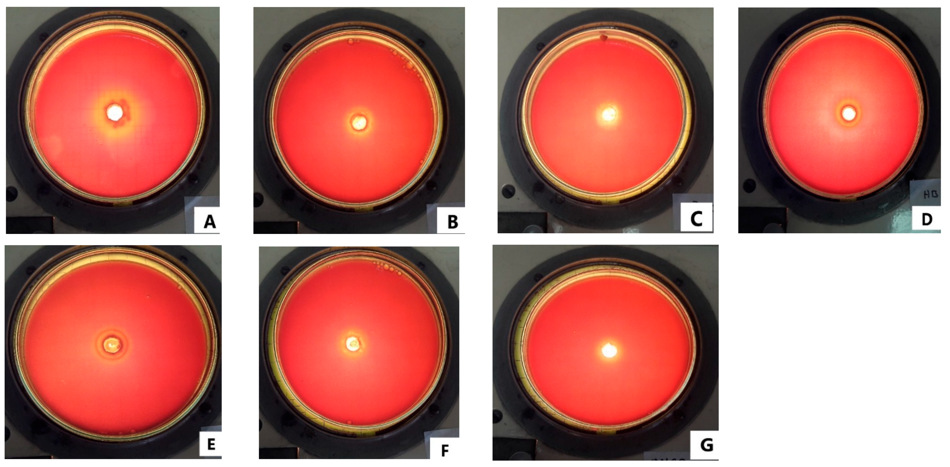Antibiotics 12 00369 g001 Antibiotics 12 00369 g001