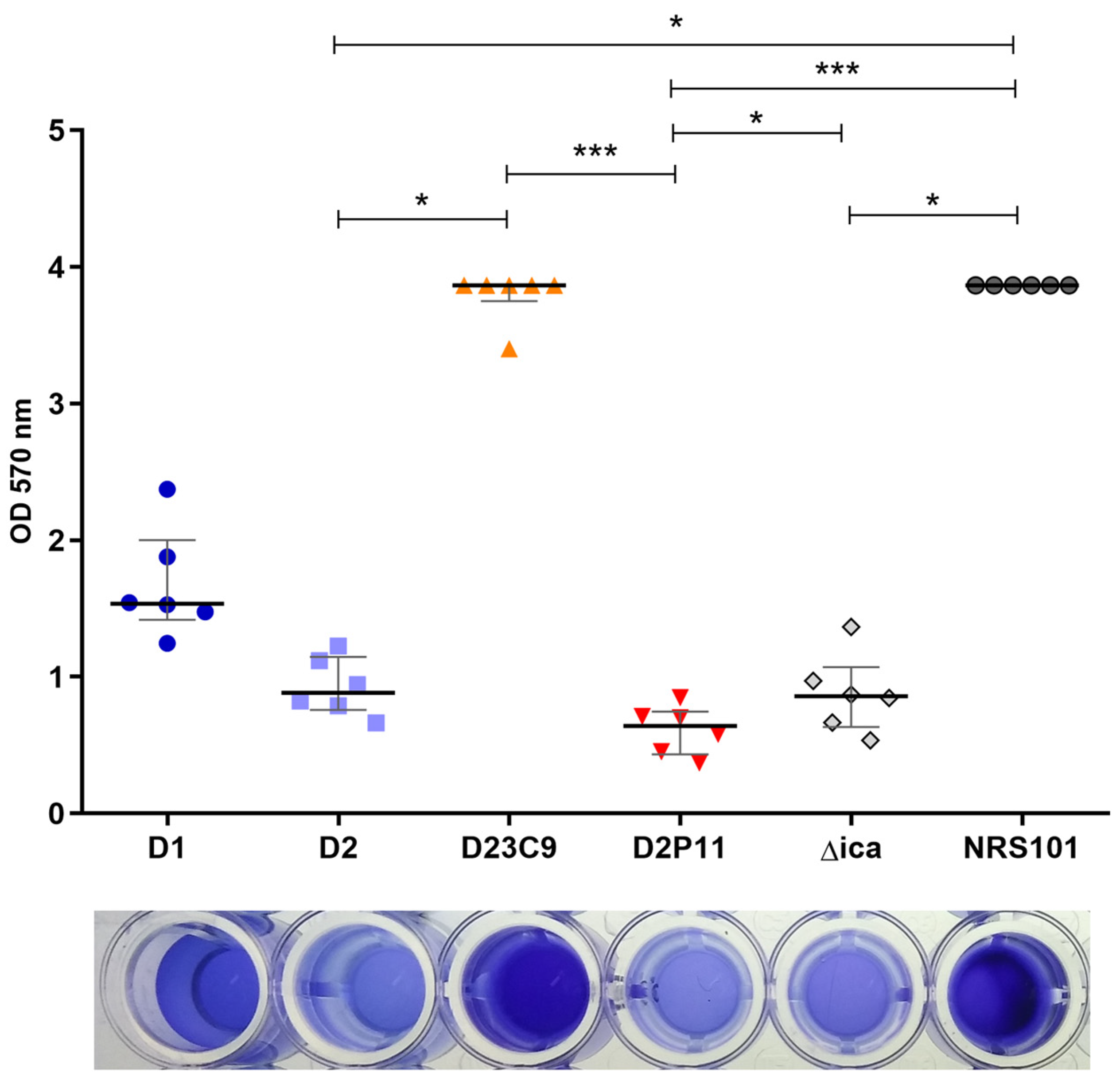 Antibiotics 12 00372 g004 Antibiotics 12 00372 g004