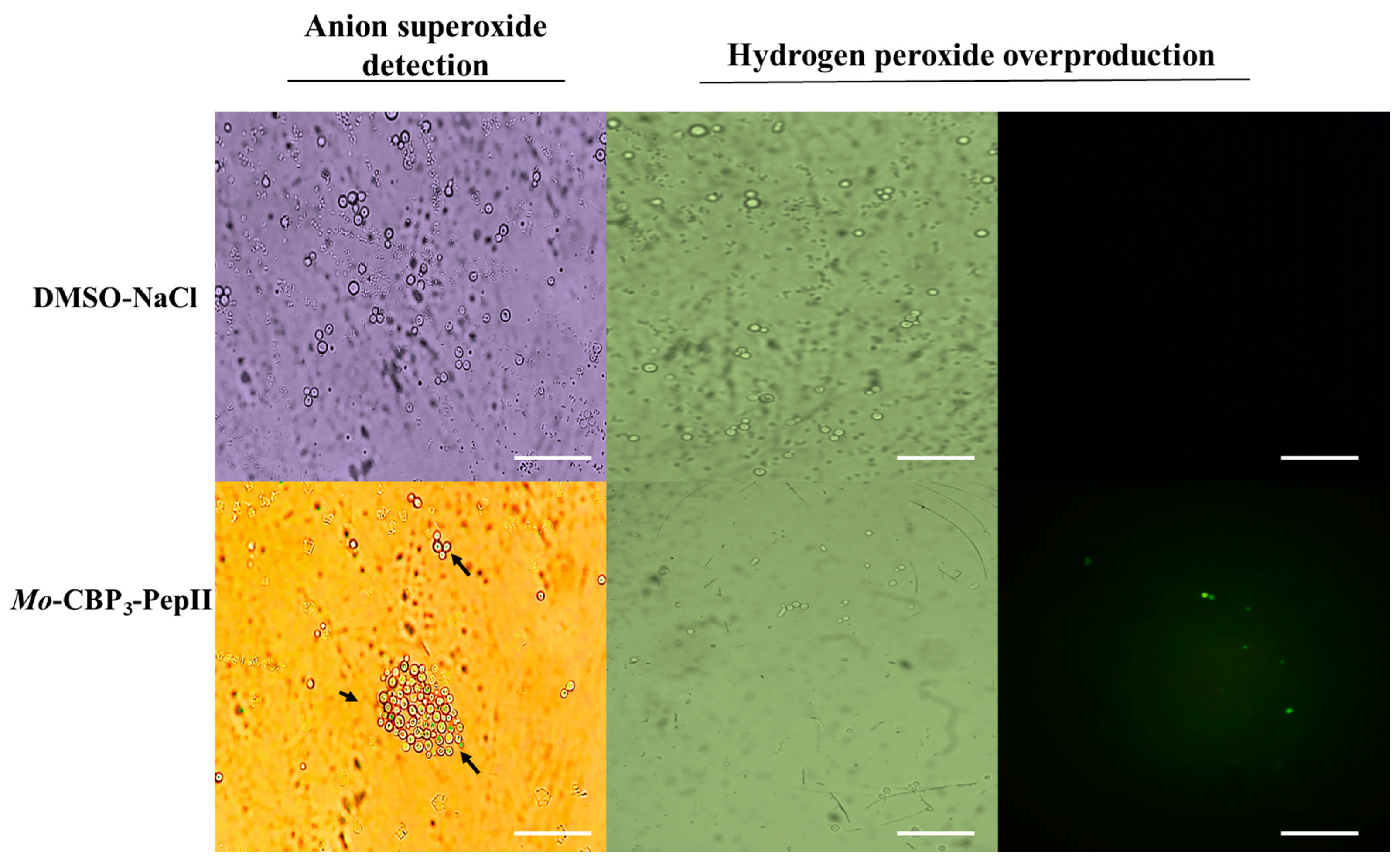 Antibiotics 12 00378 g001 Antibiotics 12 00378 g001