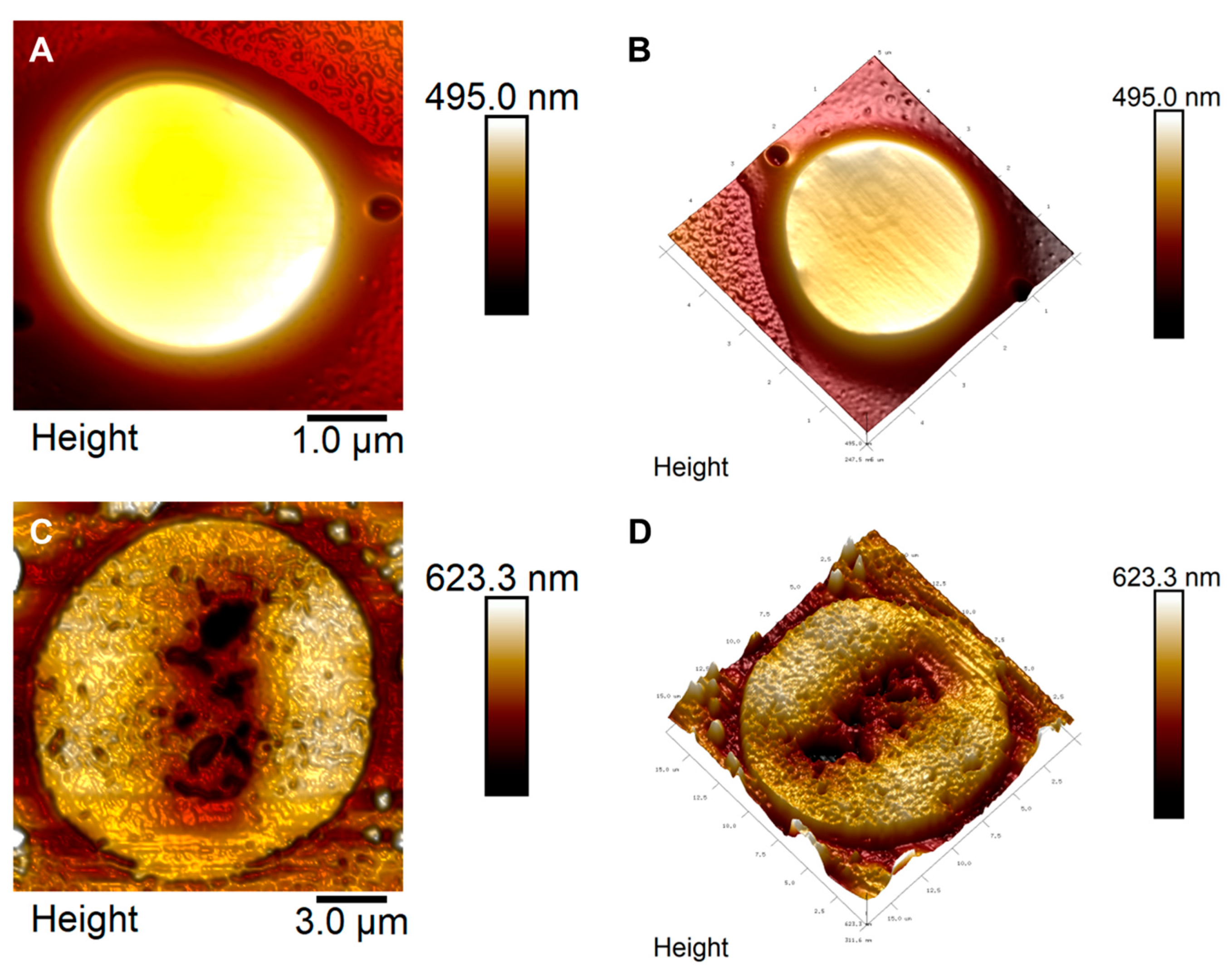 Antibiotics 12 00378 g005 Antibiotics 12 00378 g005