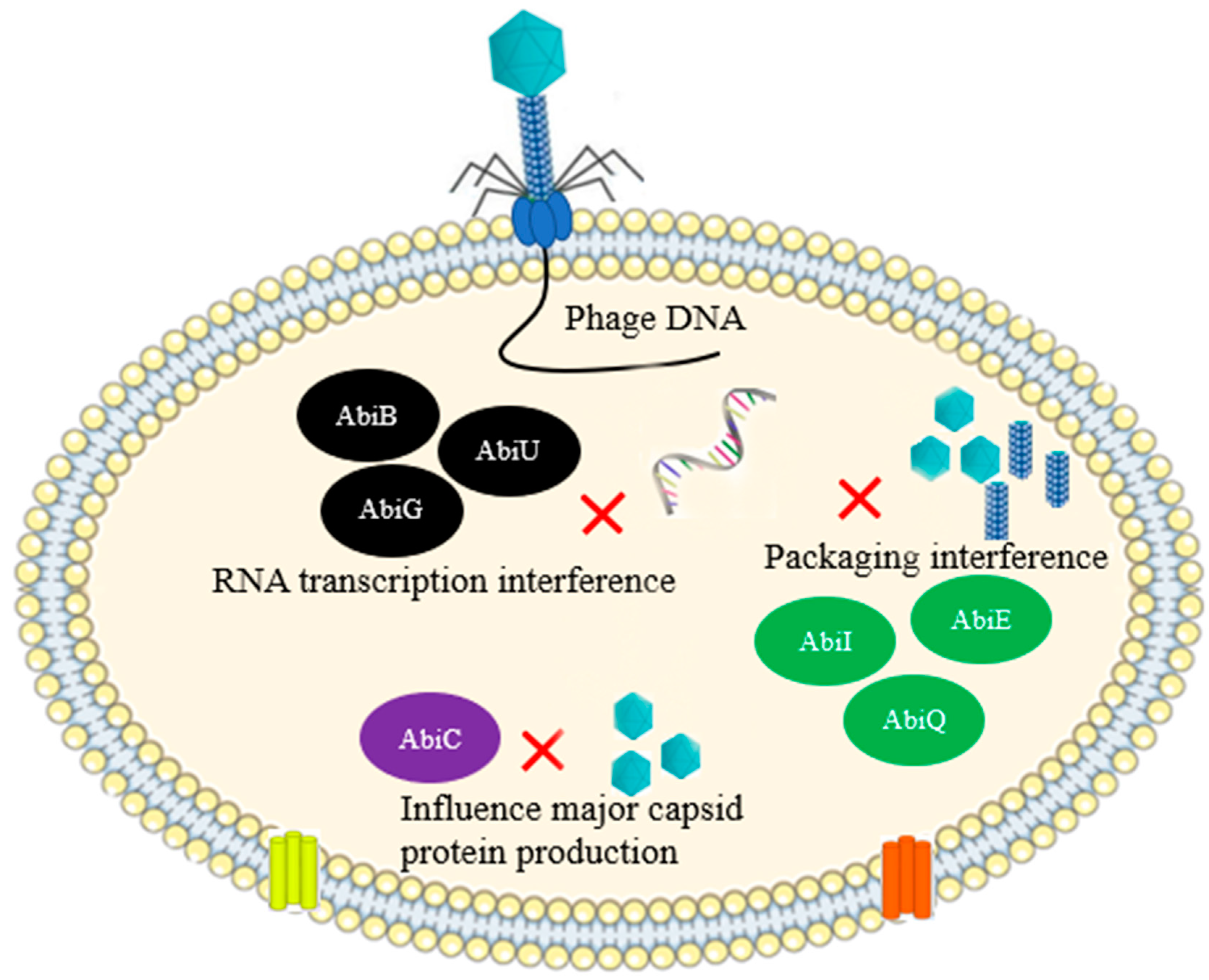 Antibiotics 12 00381 g006 Antibiotics 12 00381 g006