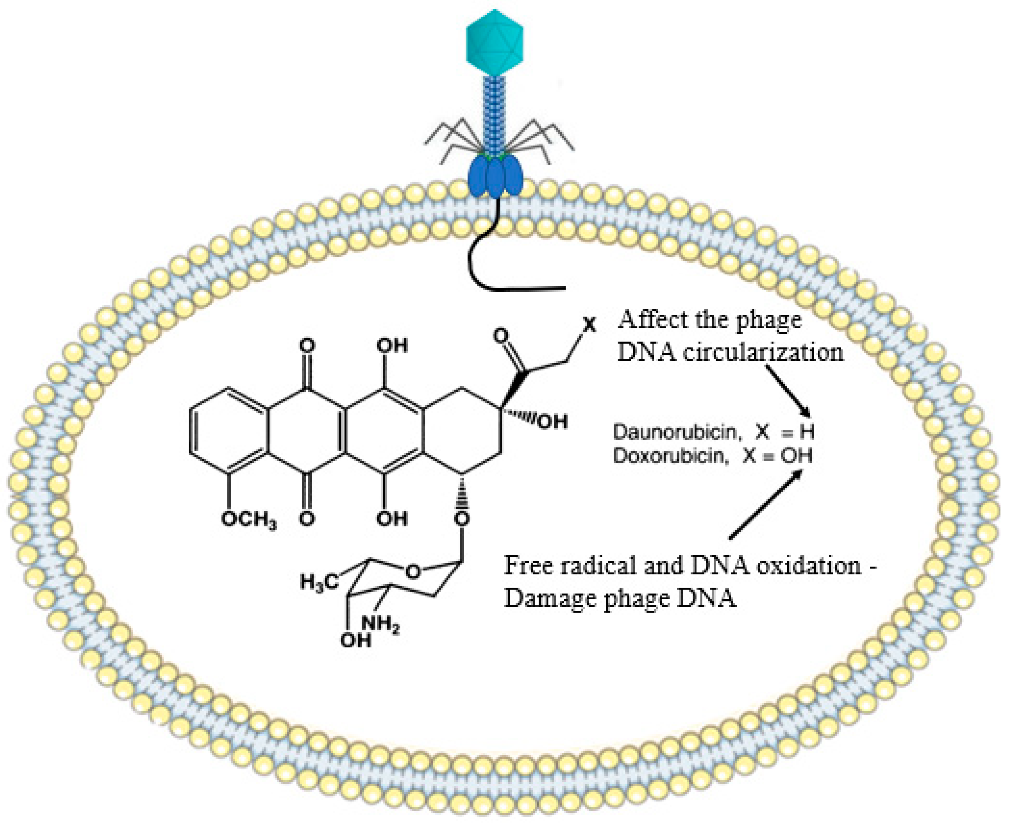 Antibiotics 12 00381 g008 Antibiotics 12 00381 g008