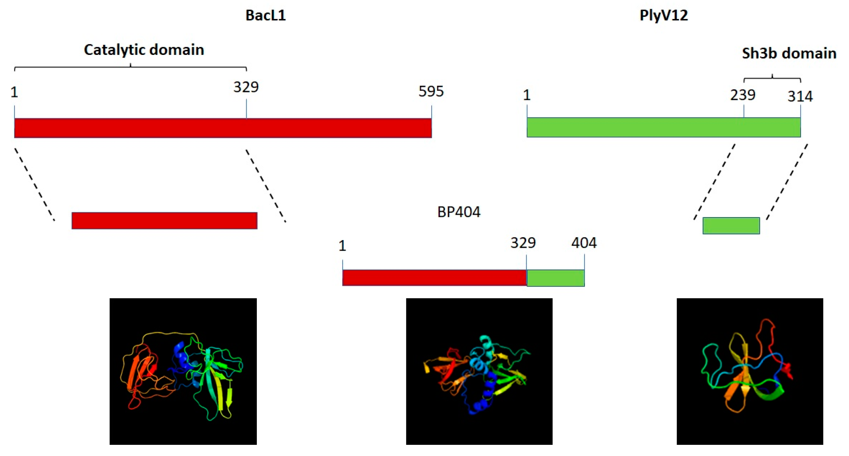 Antibiotics 12 00388 g001