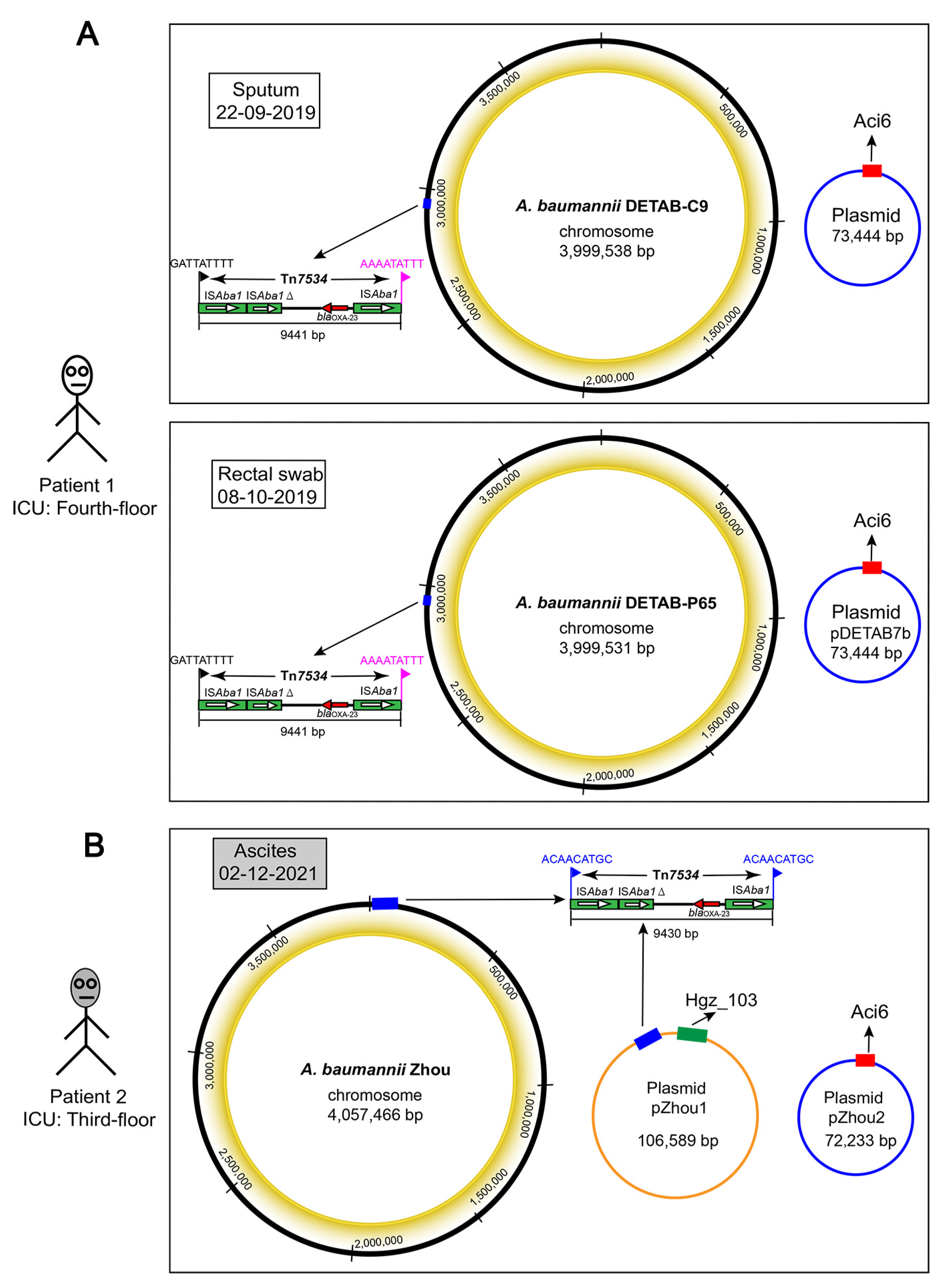 Antibiotics 12 00396 g001