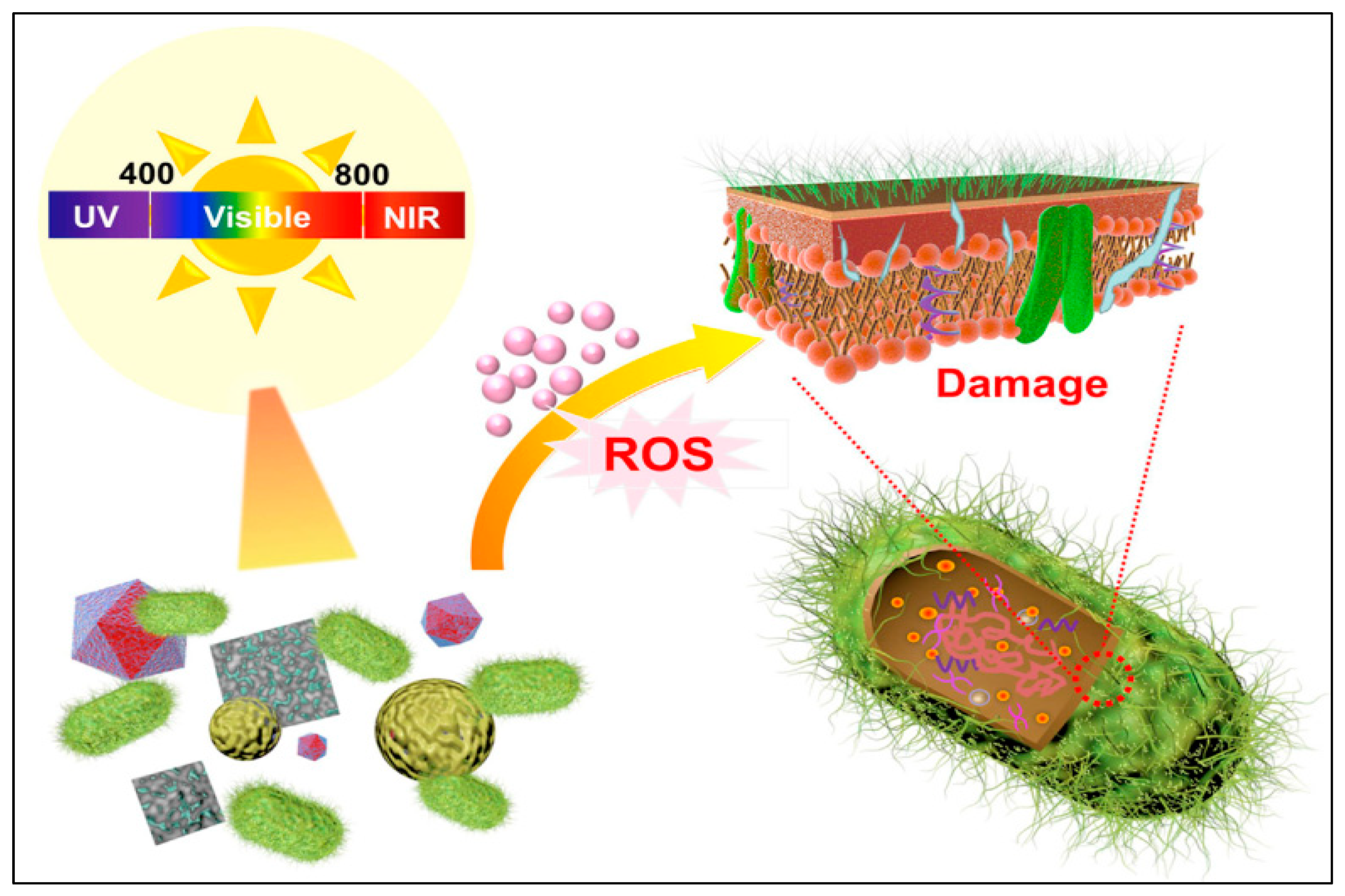 Antibiotics 12 00398 g002 Antibiotics 12 00398 g002