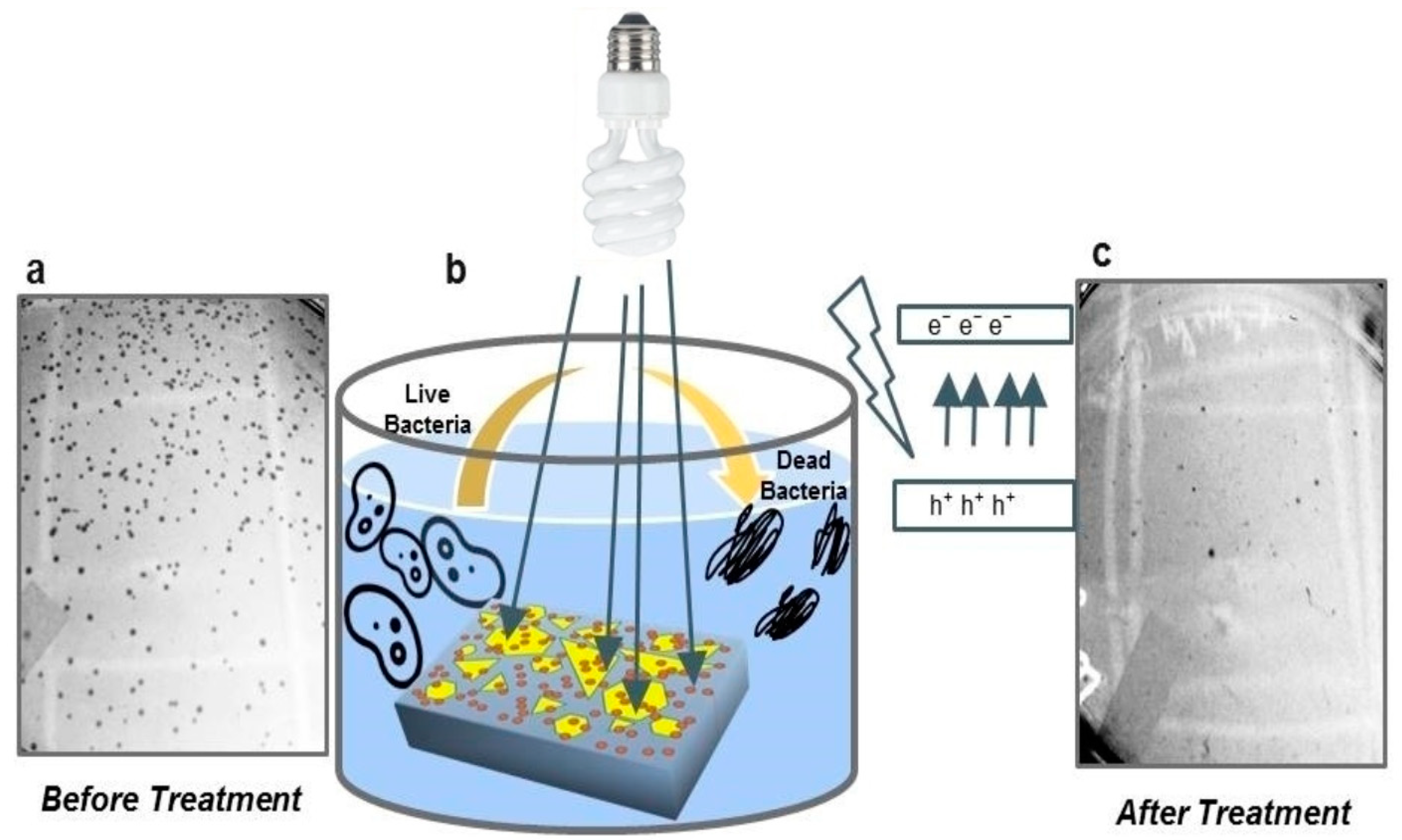 Antibiotics 12 00398 g003 Antibiotics 12 00398 g003