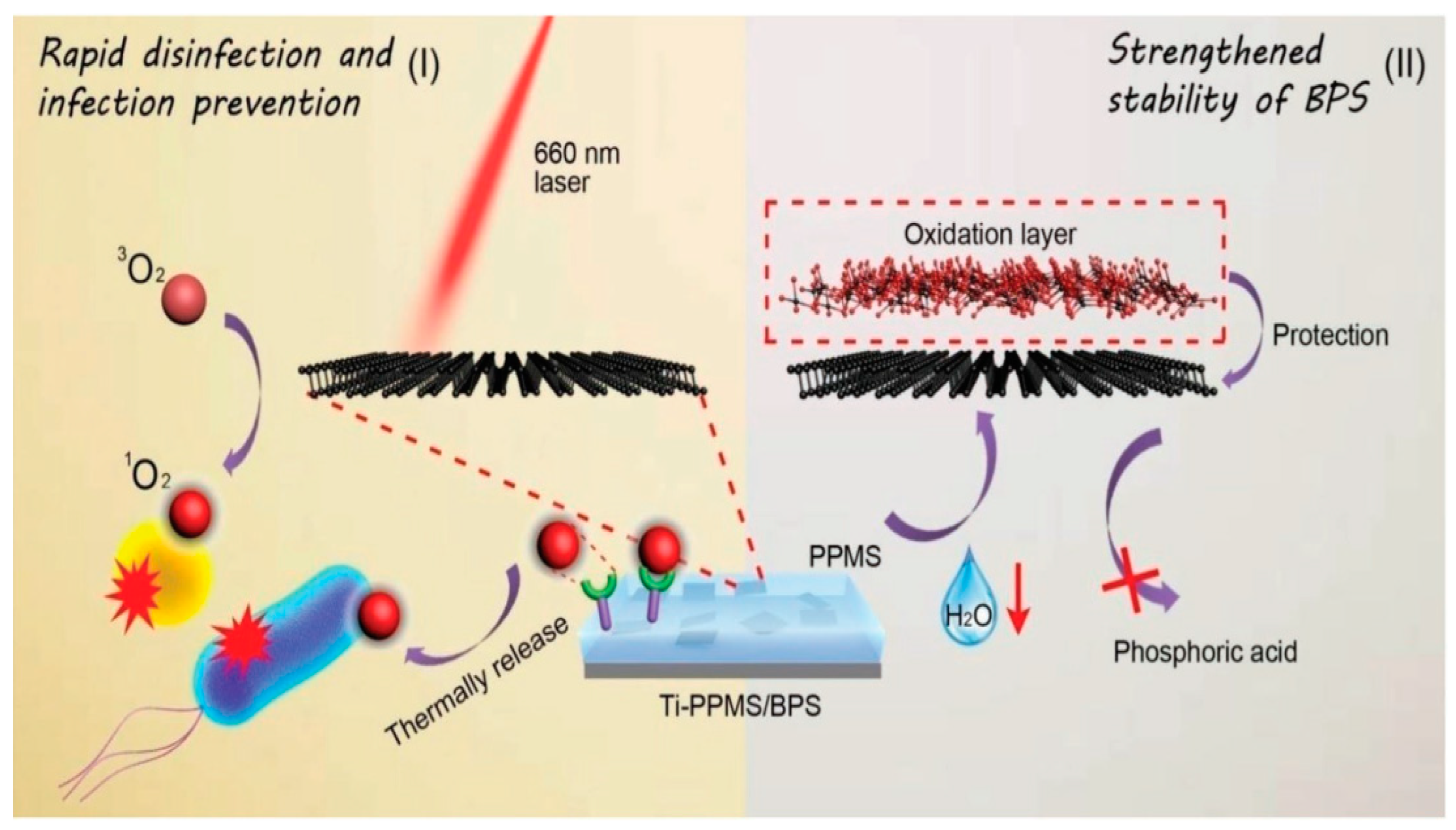 Antibiotics 12 00398 g005 Antibiotics 12 00398 g005