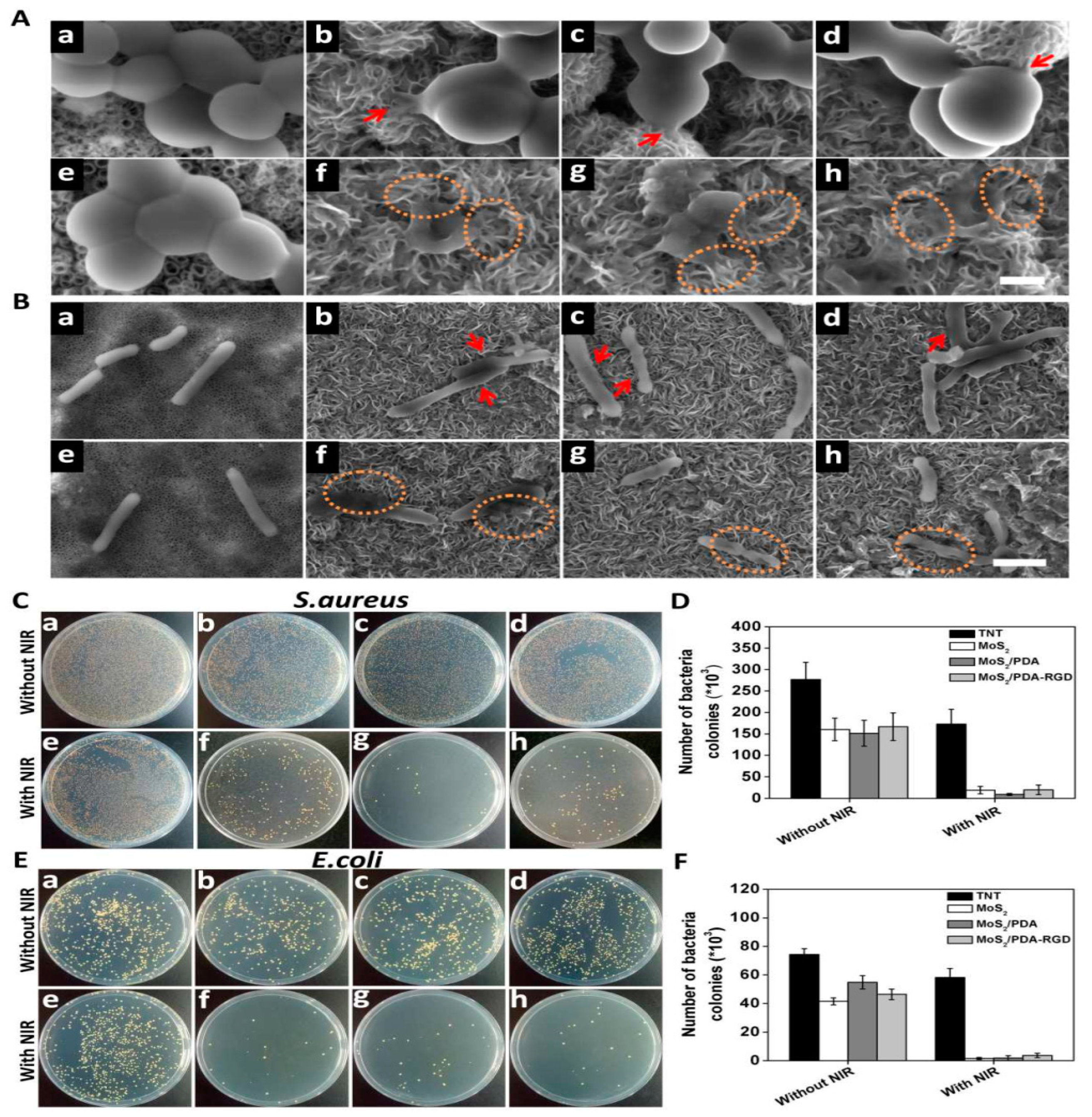 Antibiotics 12 00398 g006 Antibiotics 12 00398 g006