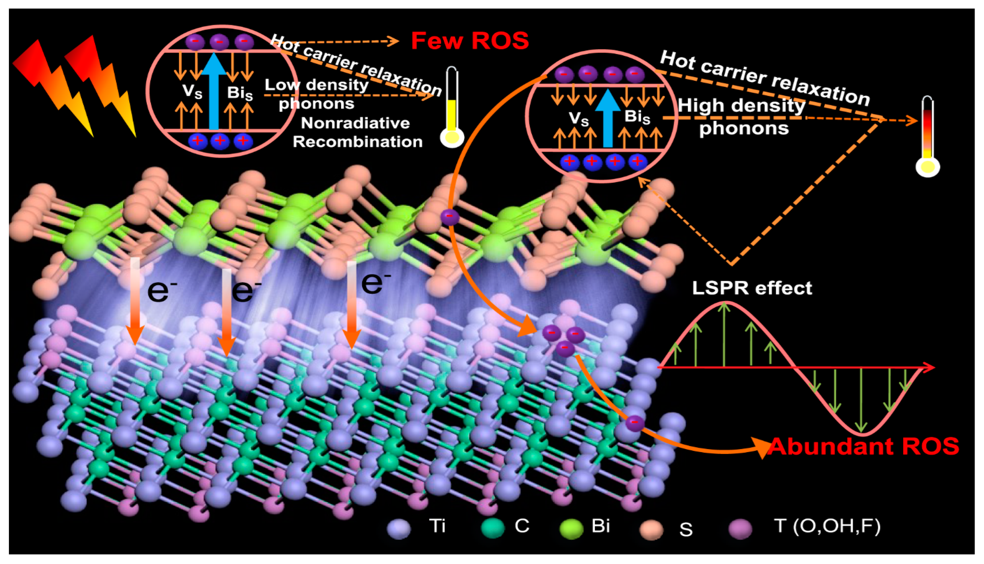 Antibiotics 12 00398 g007 Antibiotics 12 00398 g007