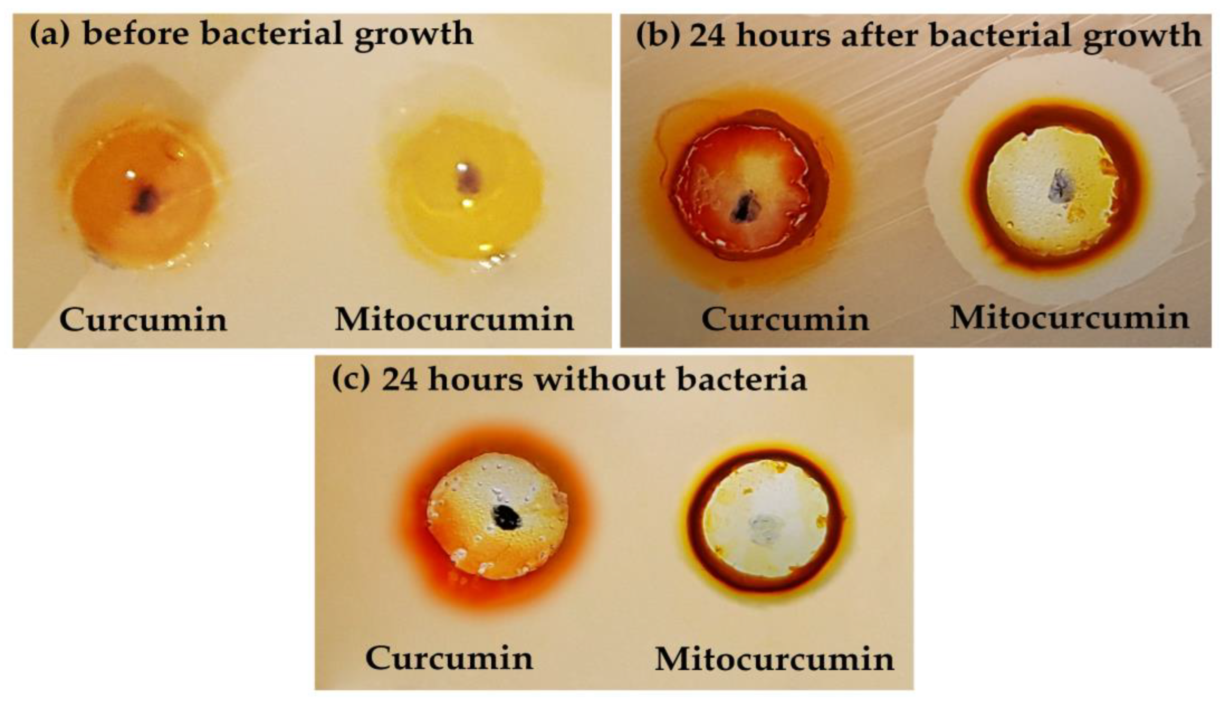 Antibiotics 12 00401 g001