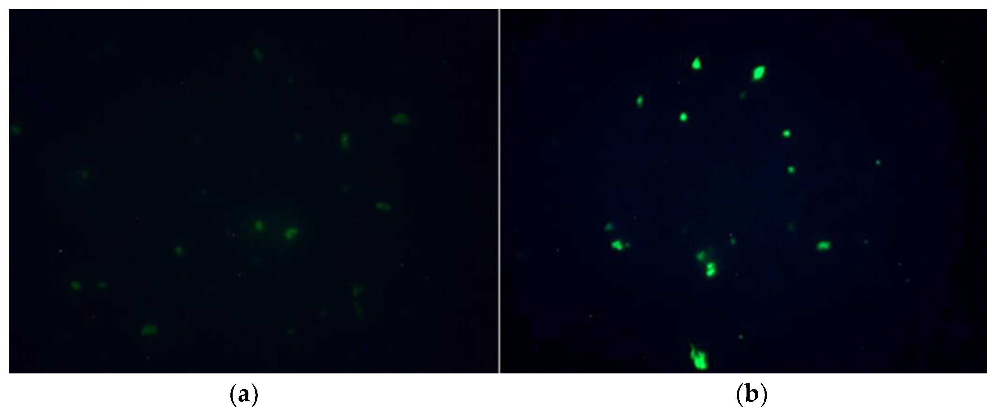 Antibiotics 12 00401 g002