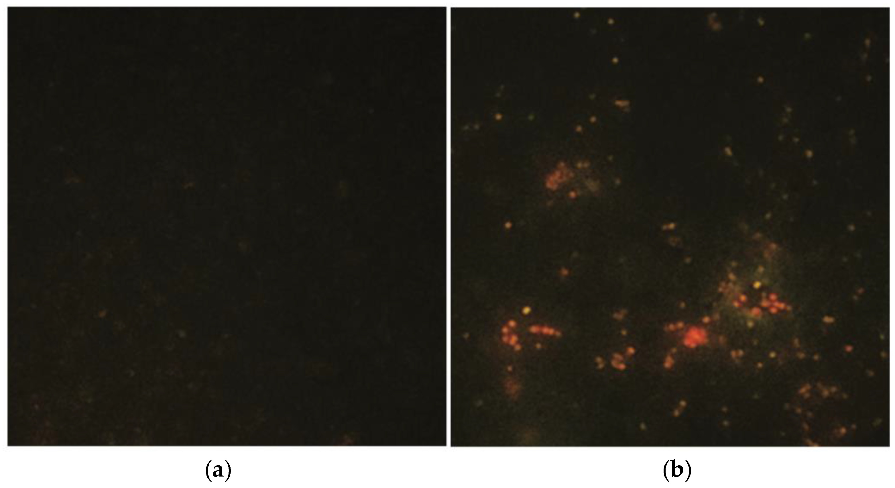 Antibiotics 12 00401 g005