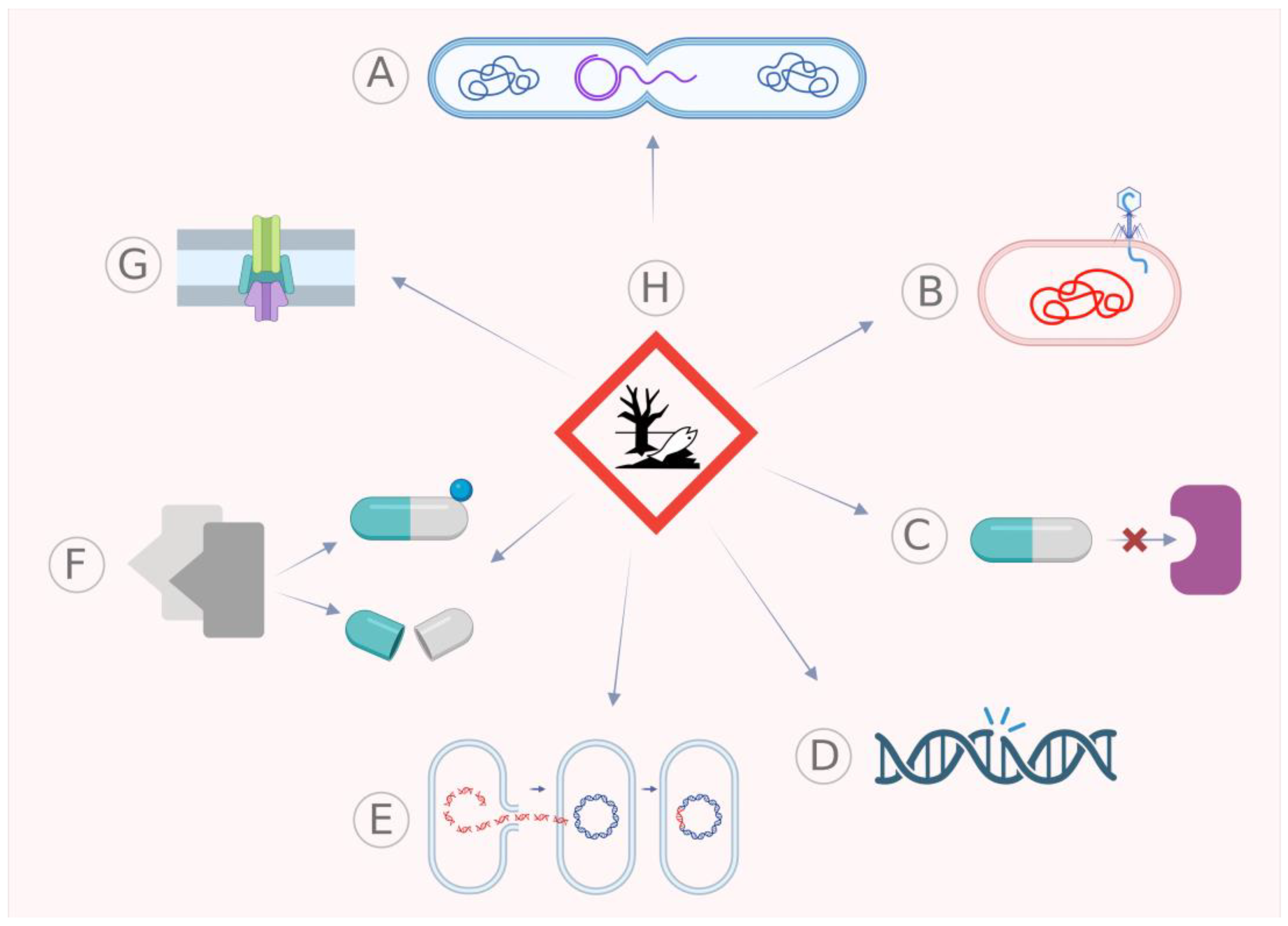 Antibiotics 12 00402 g001