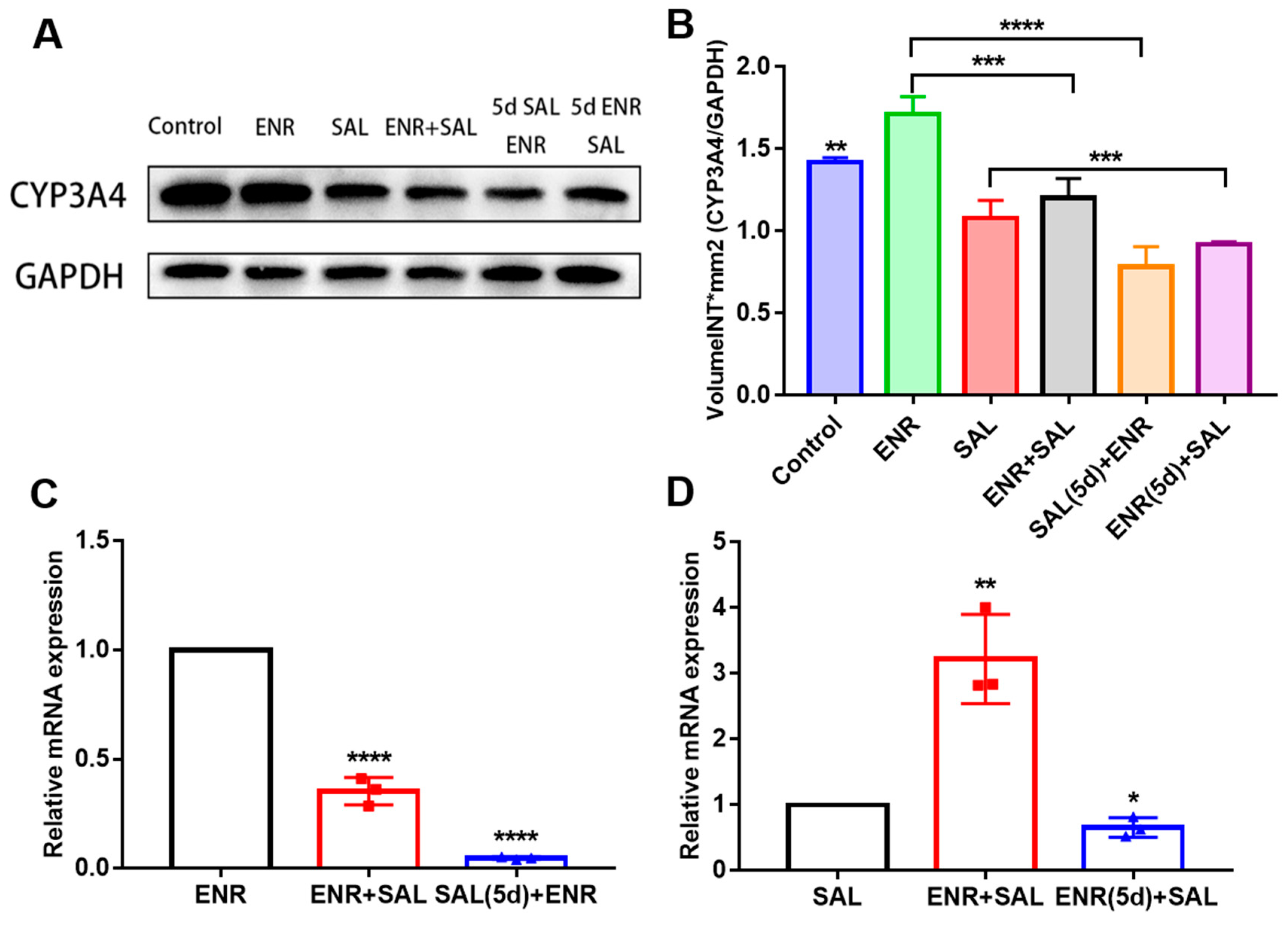 Antibiotics 12 00403 g004