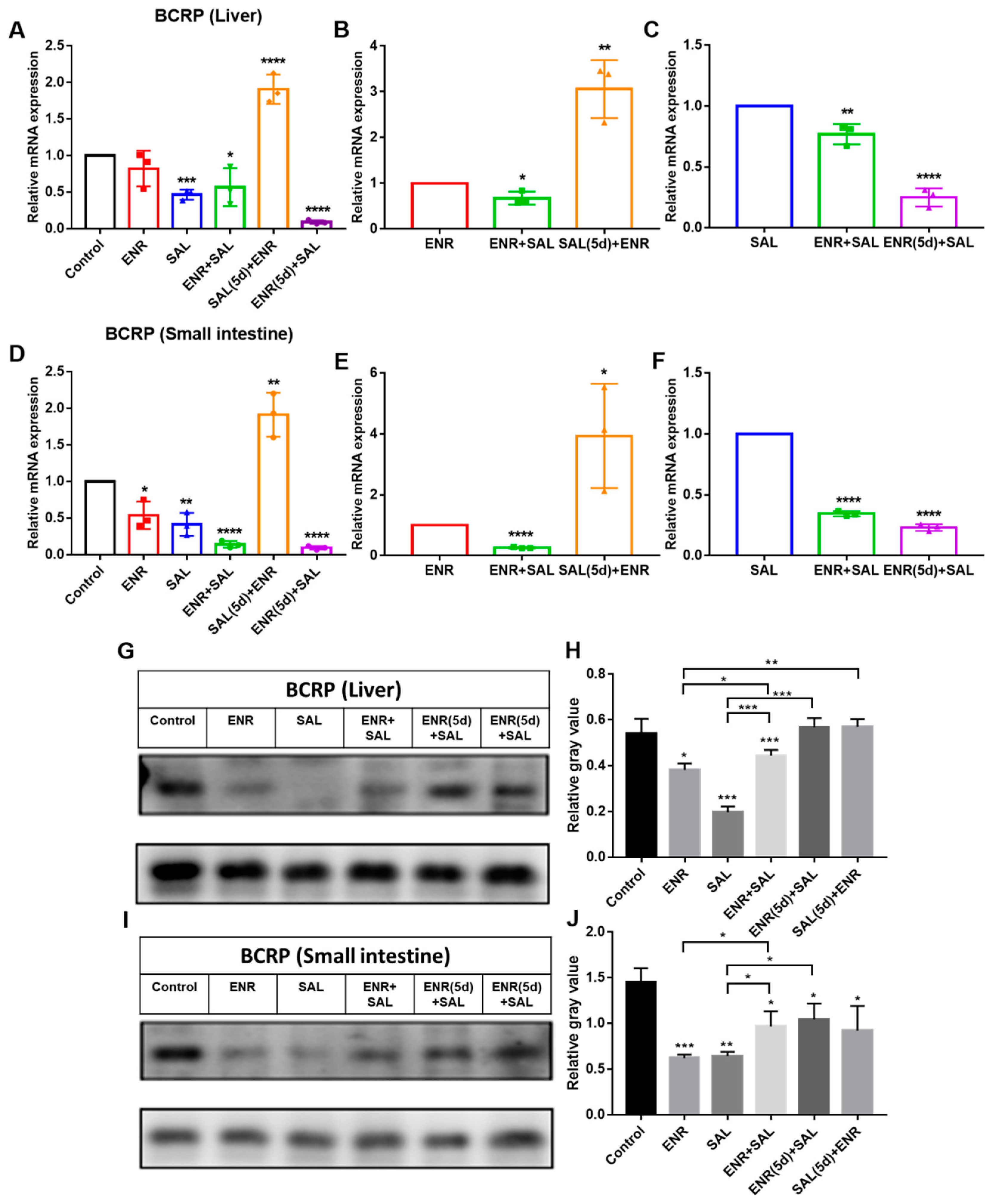 Antibiotics 12 00403 g006