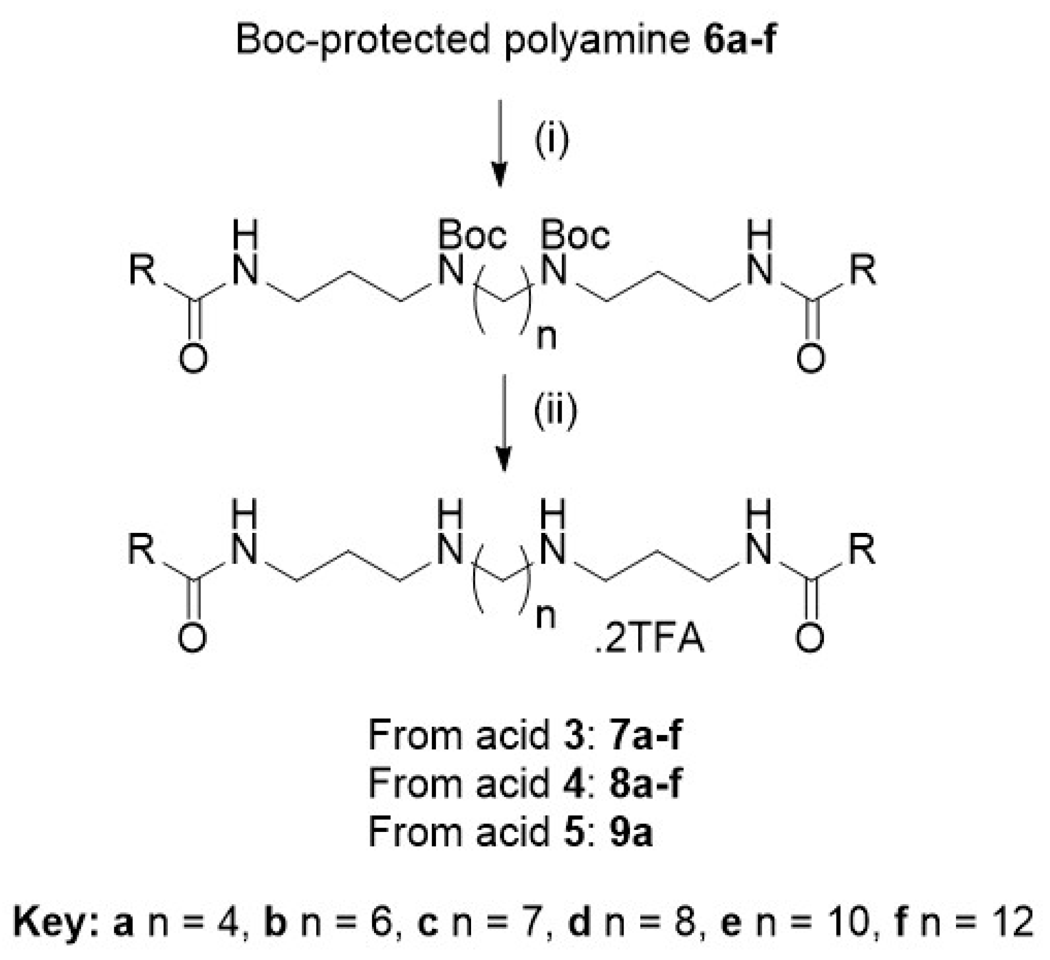 Antibiotics 12 00404 sch001