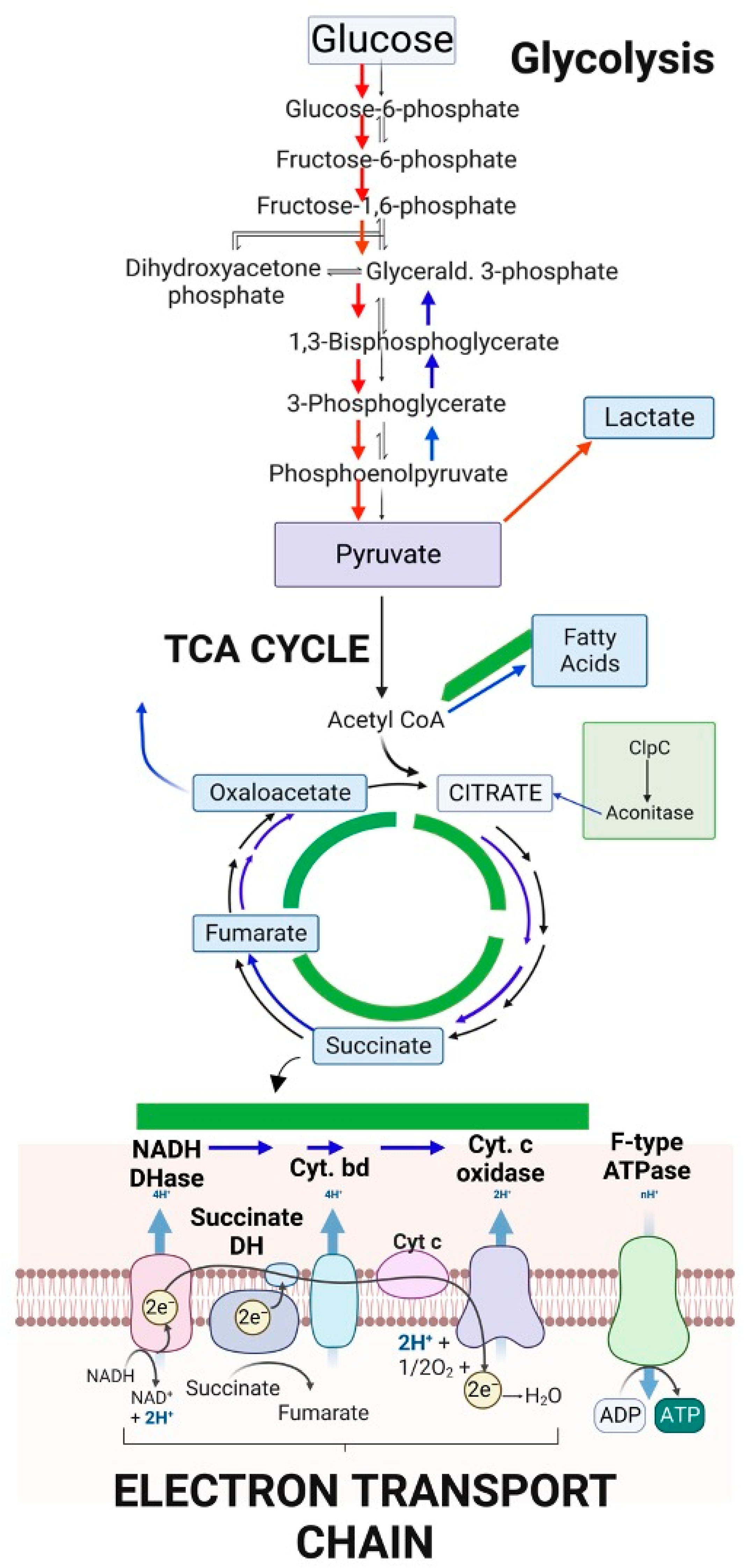 Antibiotics 12 00406 g001