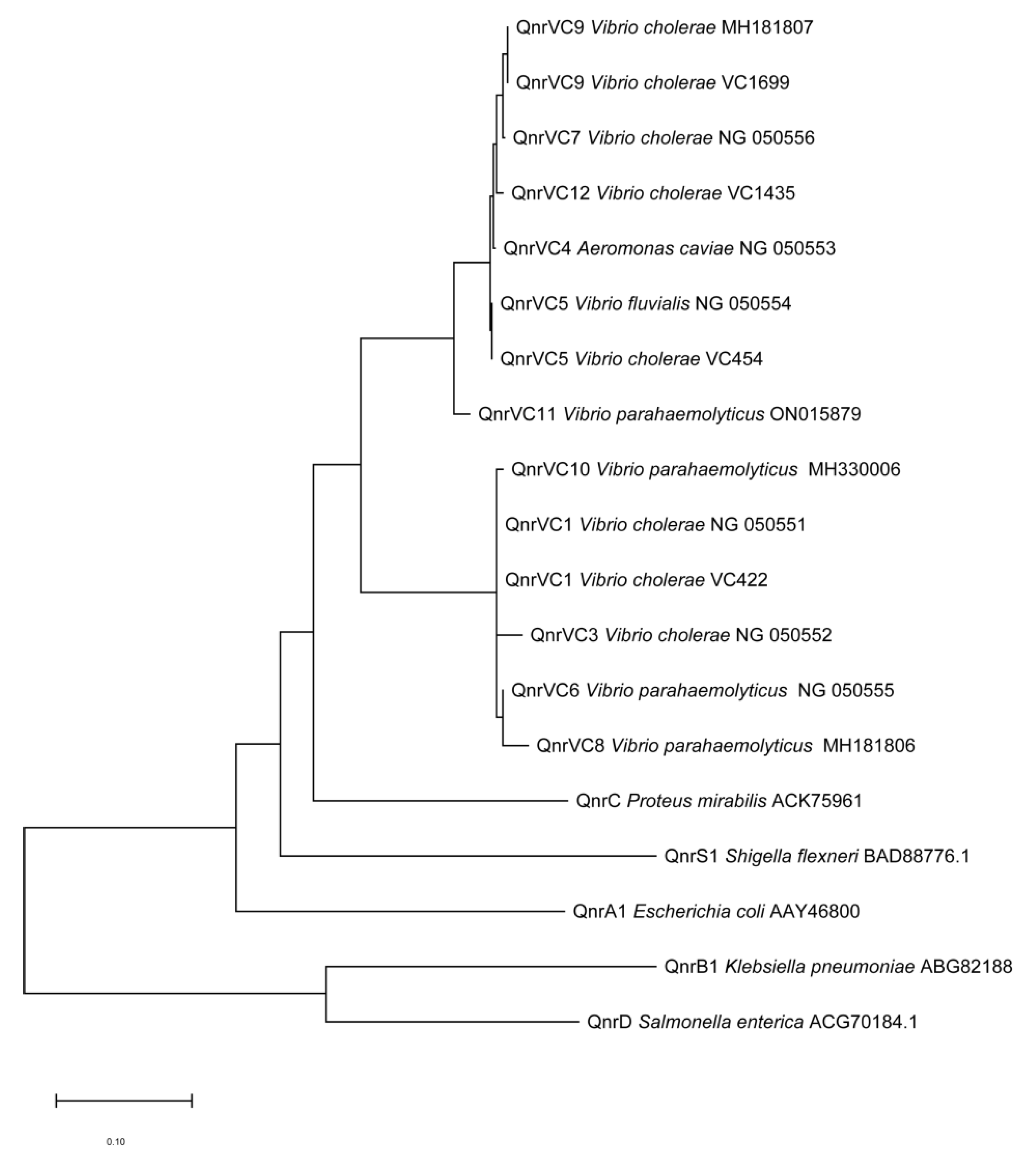 Antibiotics 12 00416 g001 Antibiotics 12 00416 g001