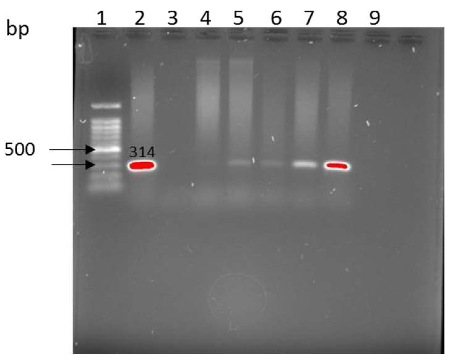 Antibiotics 12 00420 g001