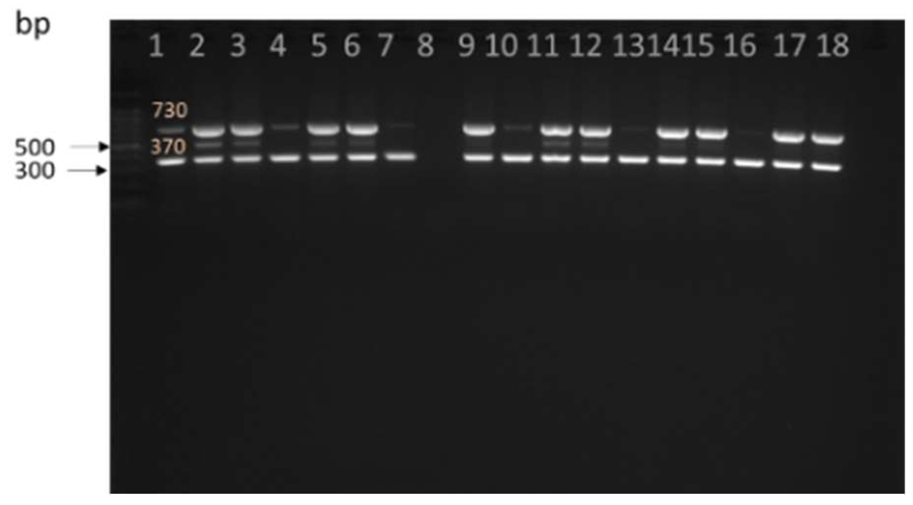 Antibiotics 12 00420 g003