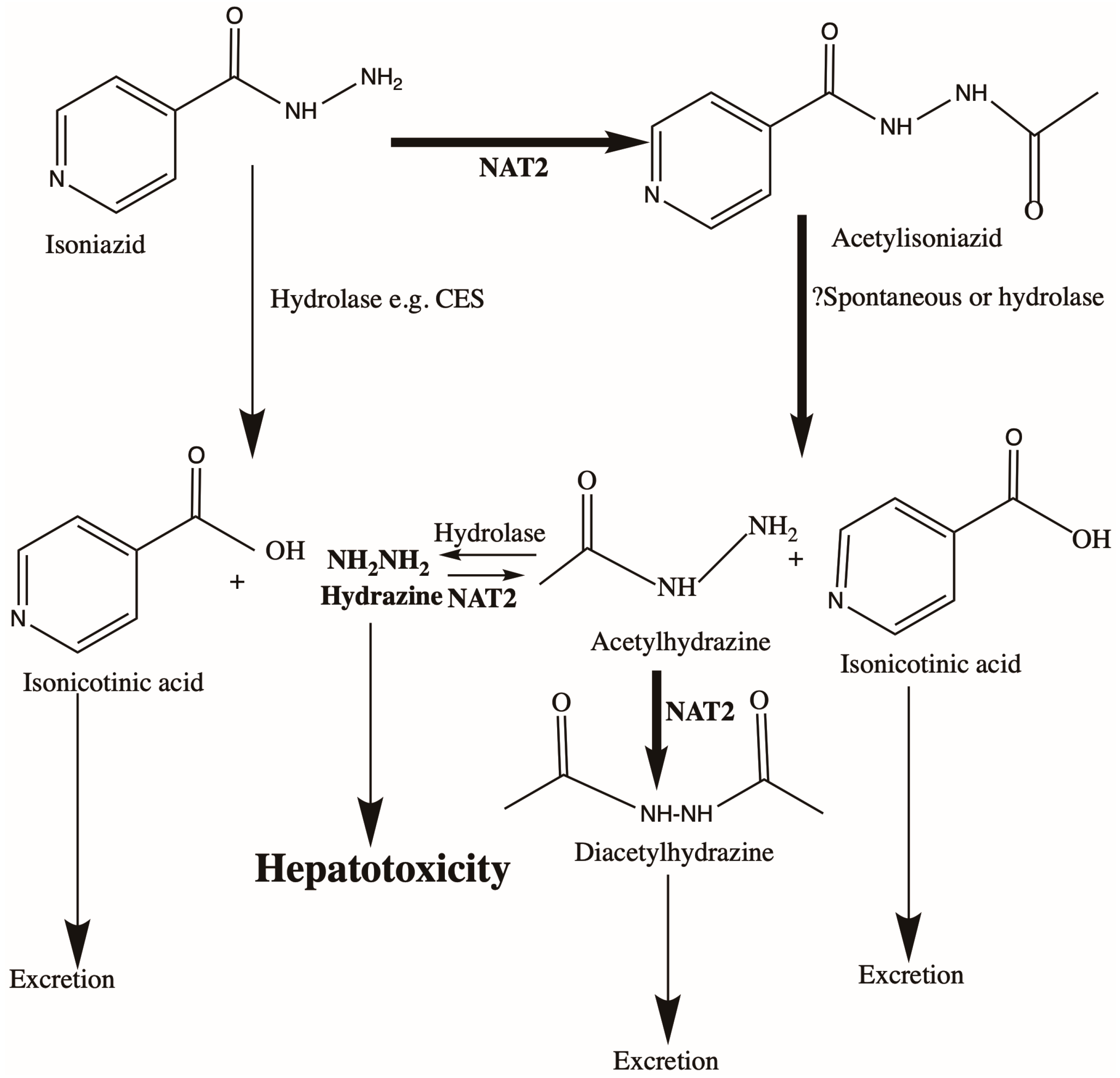 Antibiotics 12 00425 g001 Antibiotics 12 00425 g001