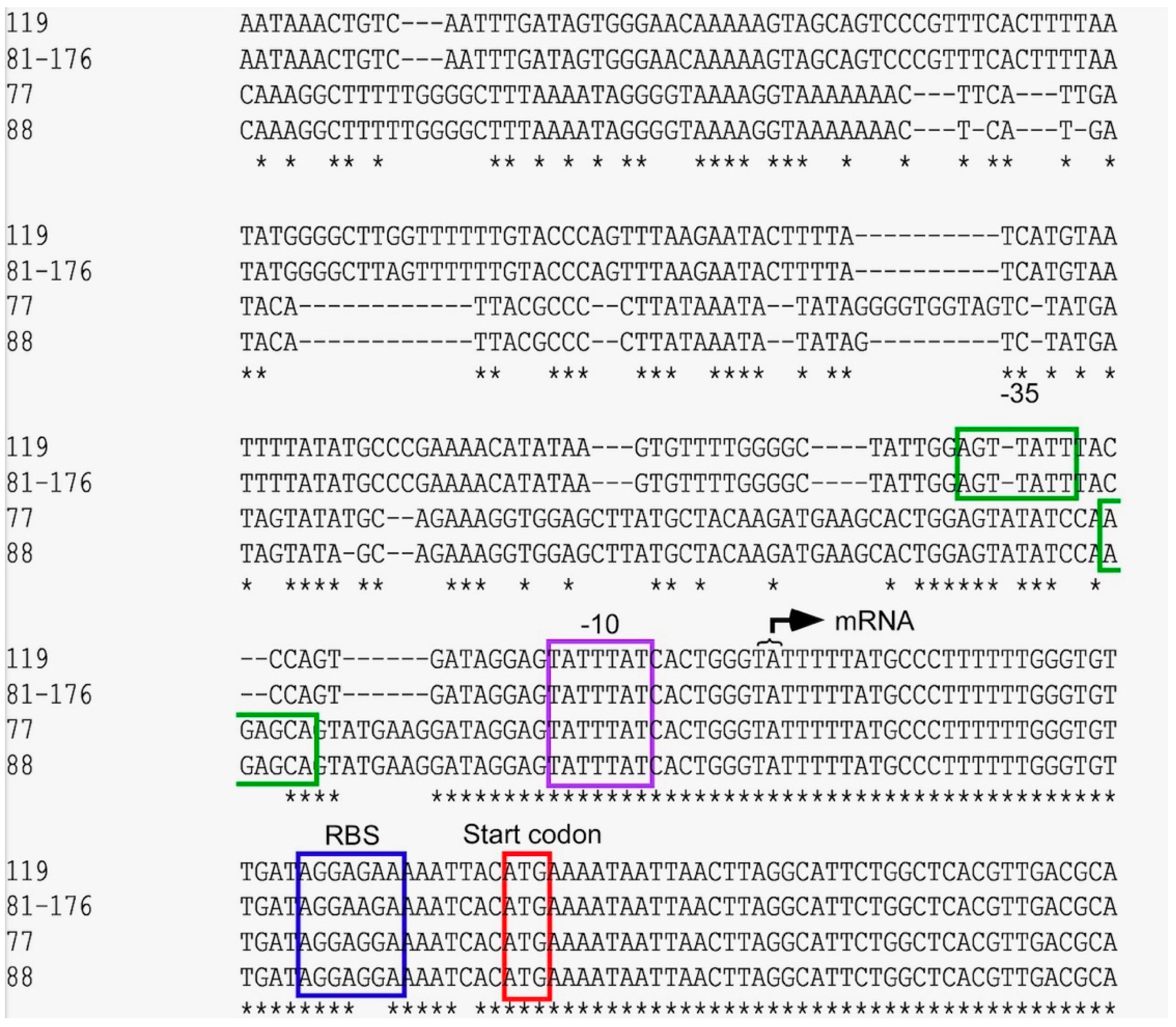 Antibiotics 12 00426 g003 Antibiotics 12 00426 g003