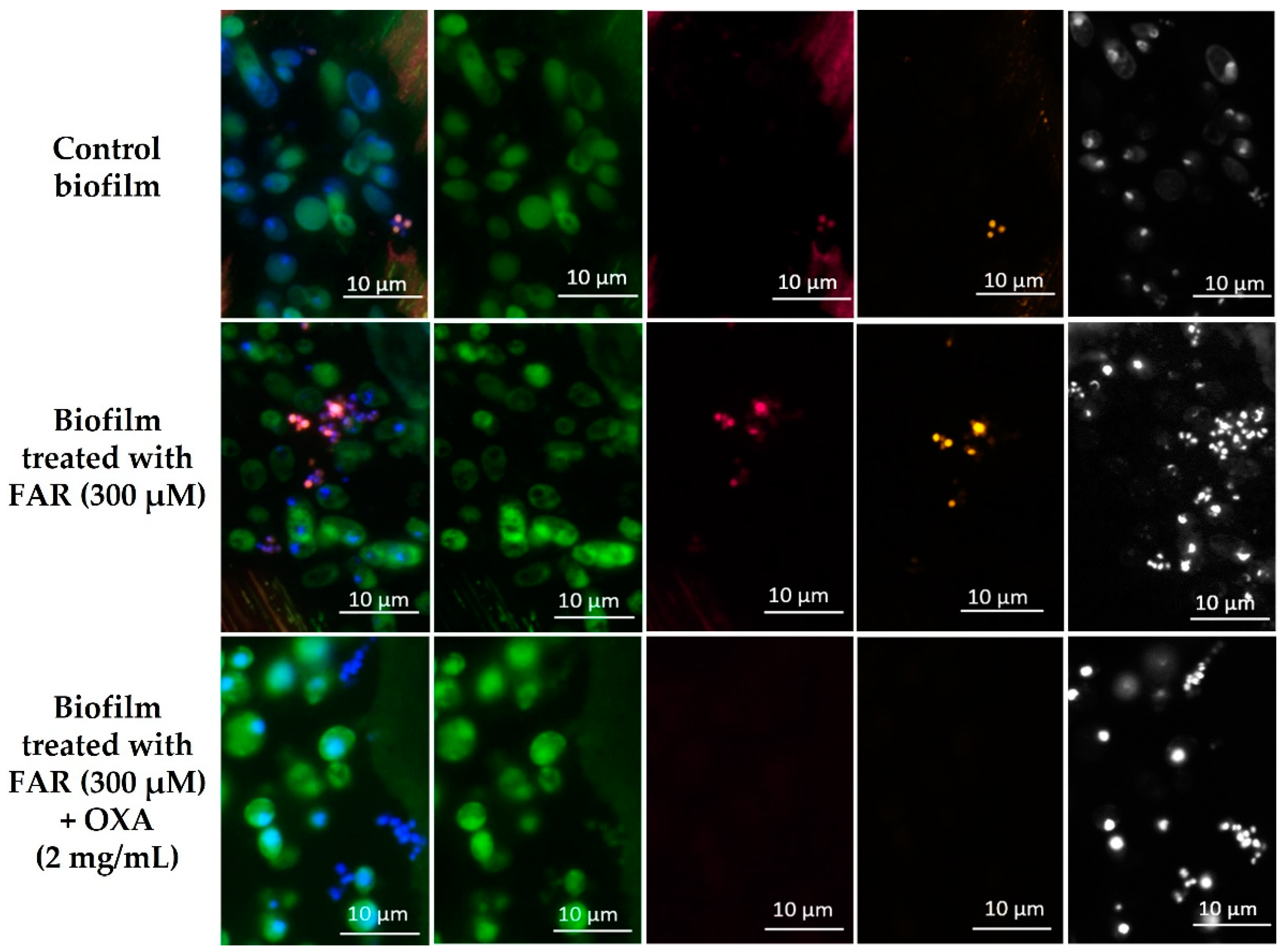 Antibiotics 12 00441 g005
