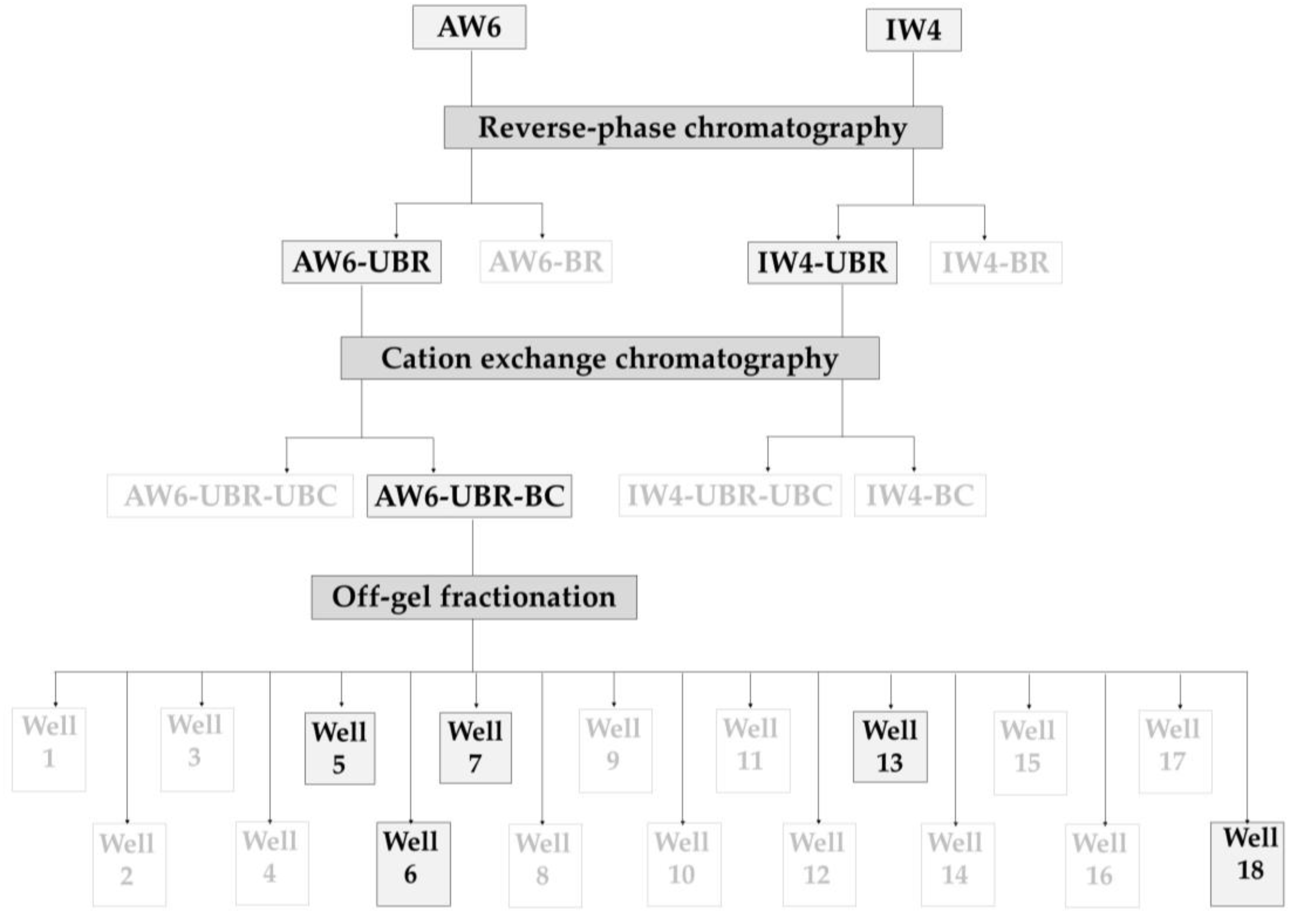 Antibiotics 12 00448 g001 Antibiotics 12 00448 g001