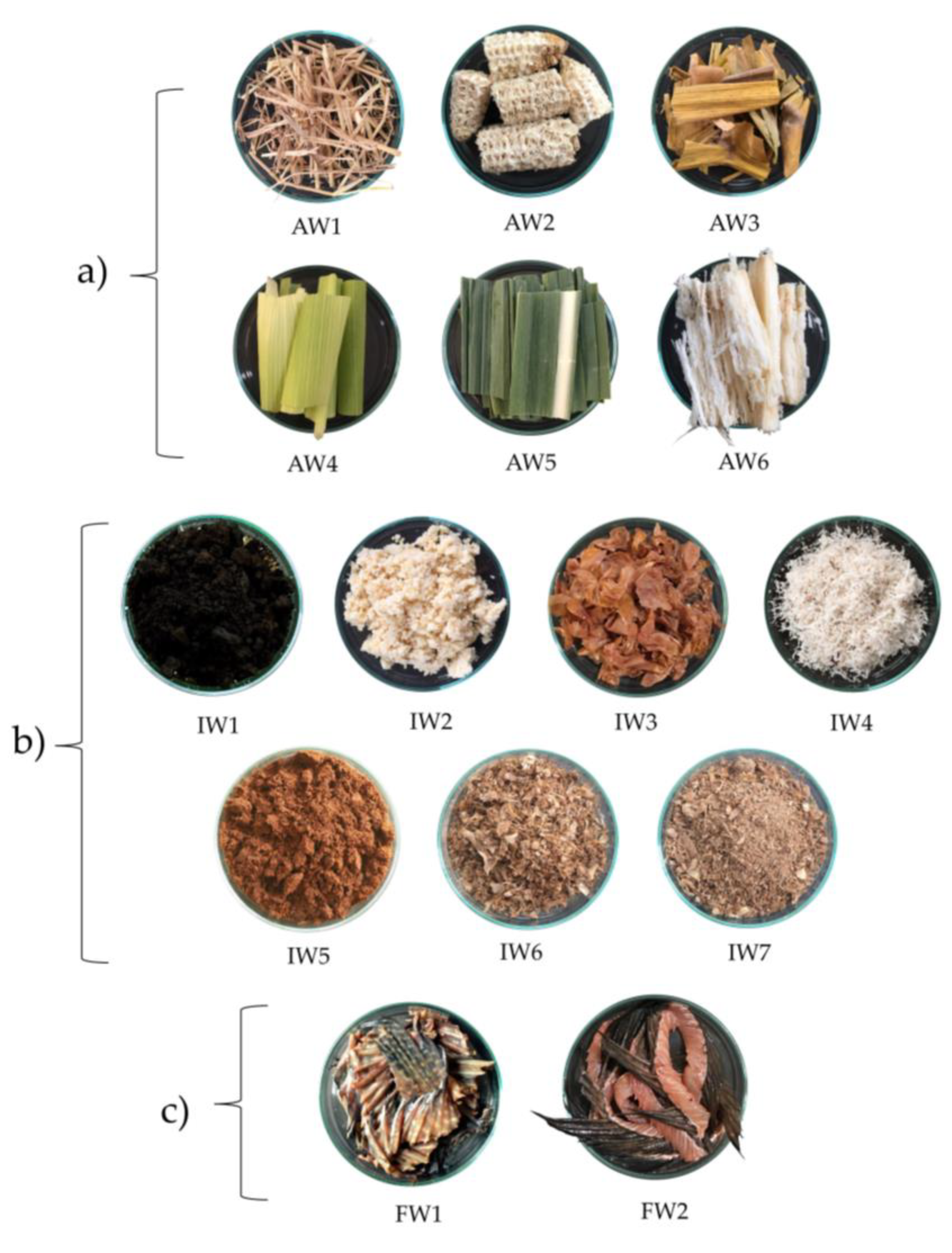 Antibiotics 12 00448 g004 Antibiotics 12 00448 g004