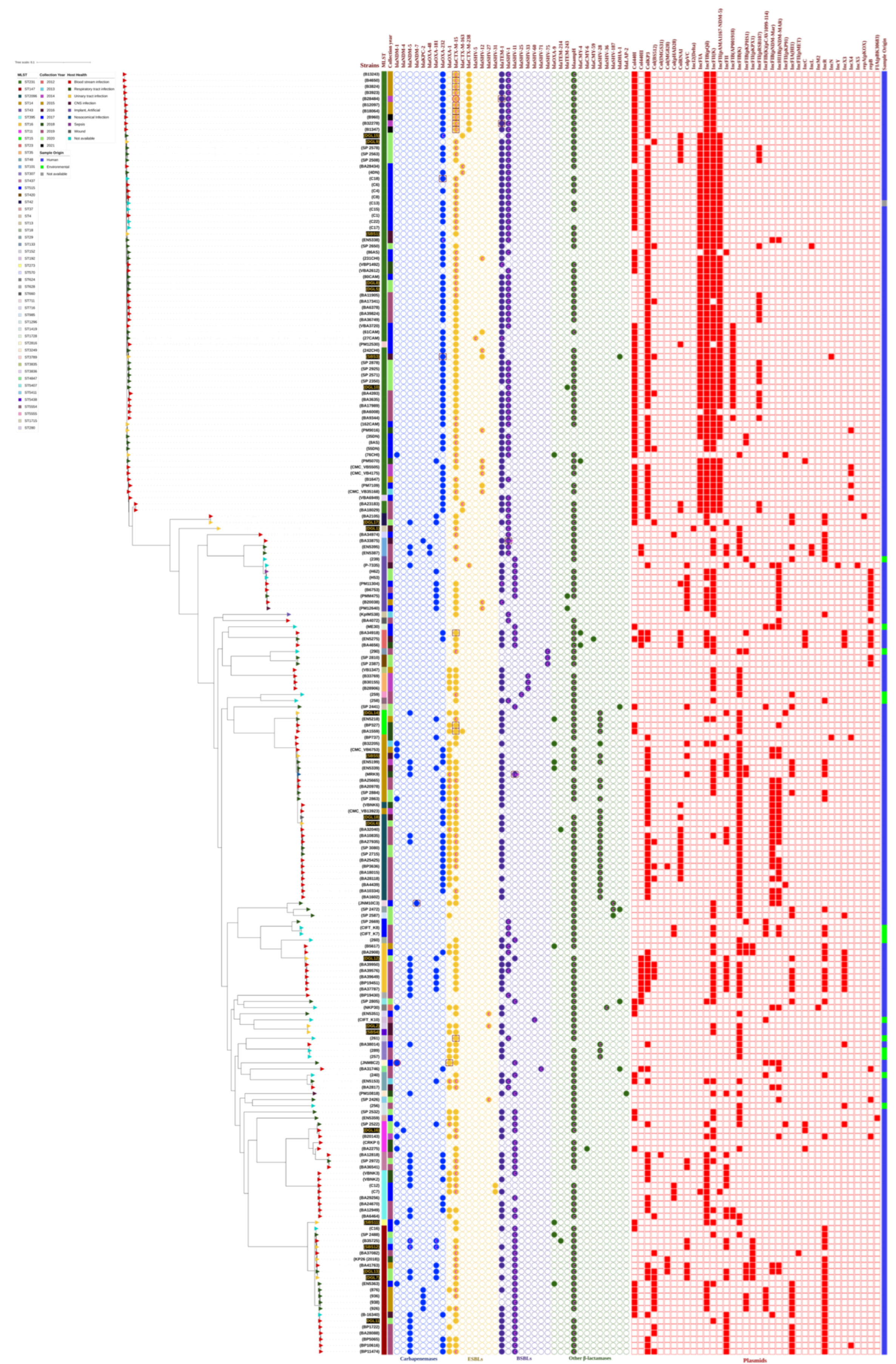 Antibiotics 12 00449 g001 Antibiotics 12 00449 g001