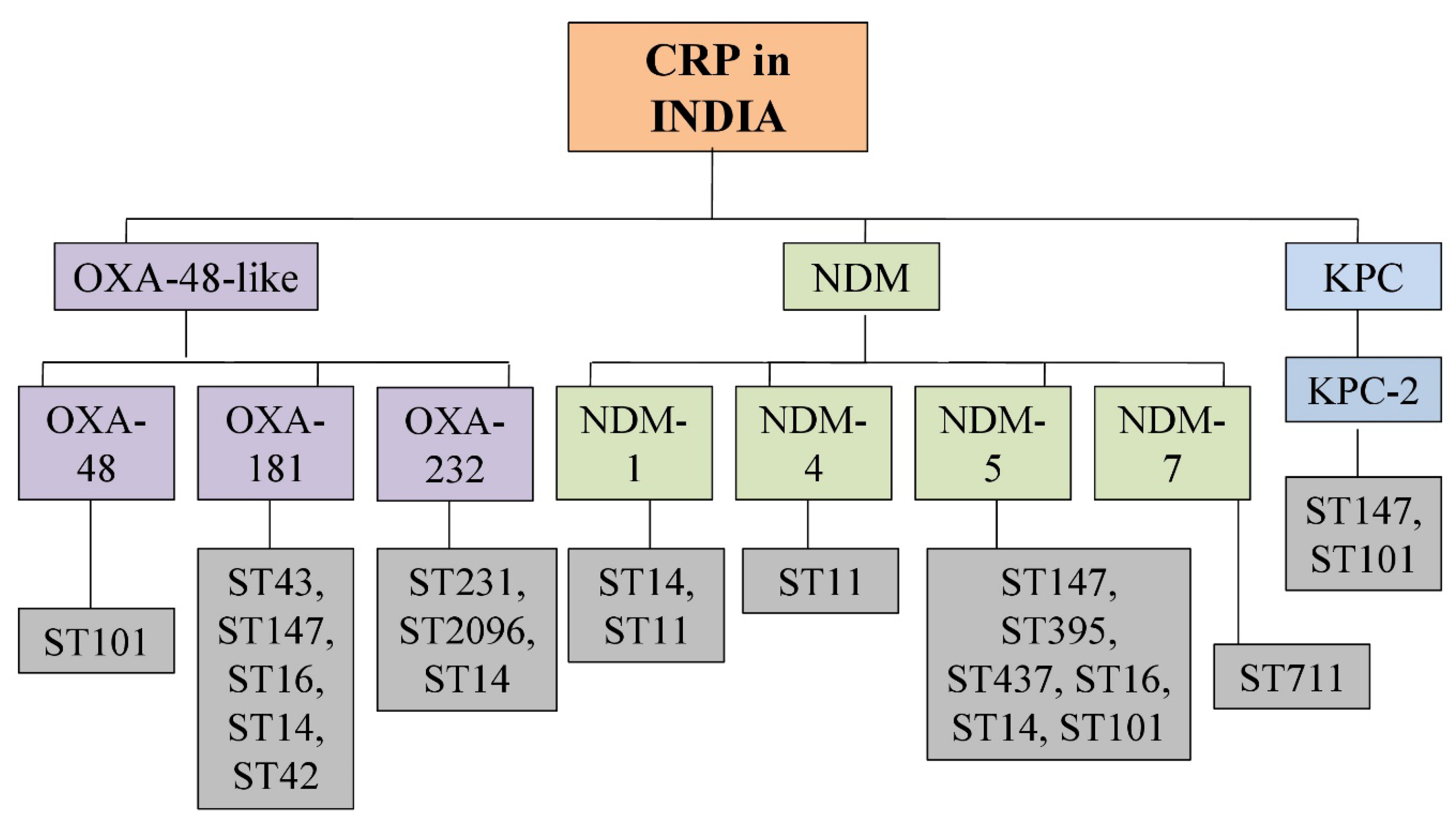 Antibiotics 12 00449 g004 Antibiotics 12 00449 g004